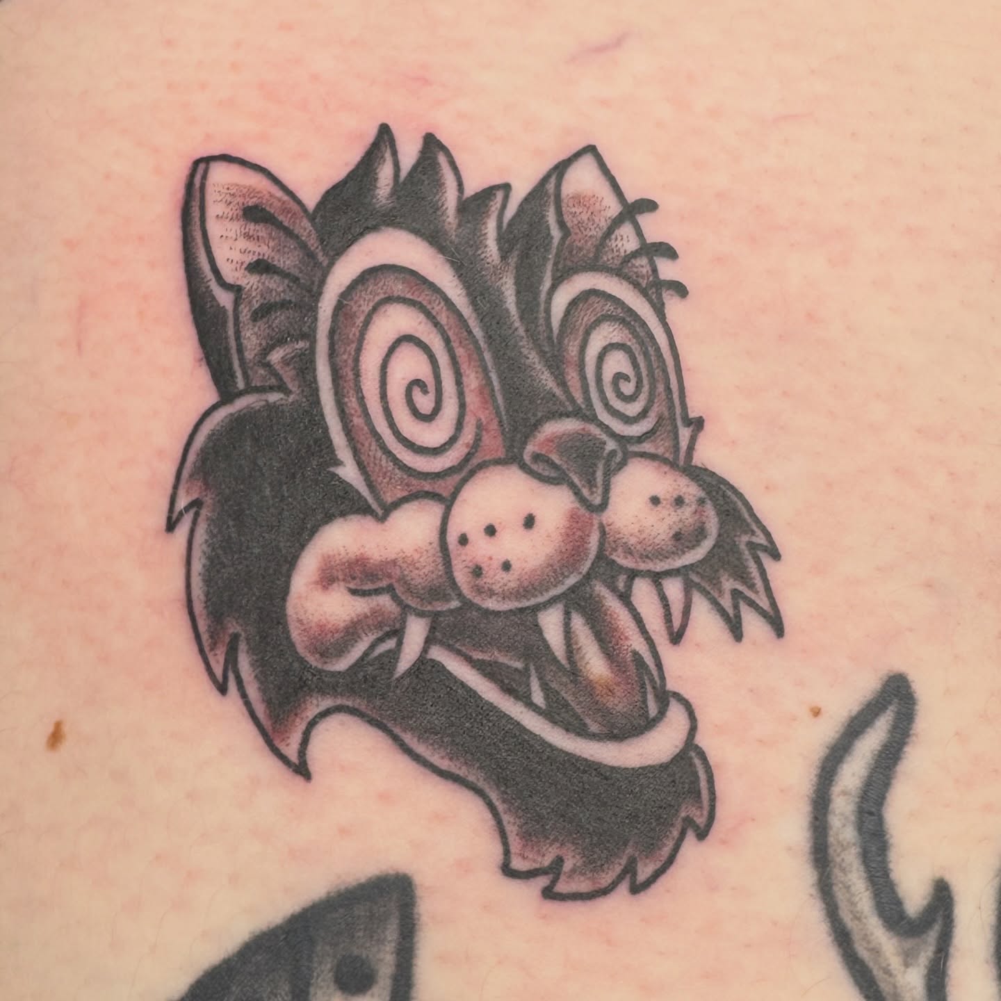Angry cat American traditional tattoo by Joel Smith, Manhattan, Kansas