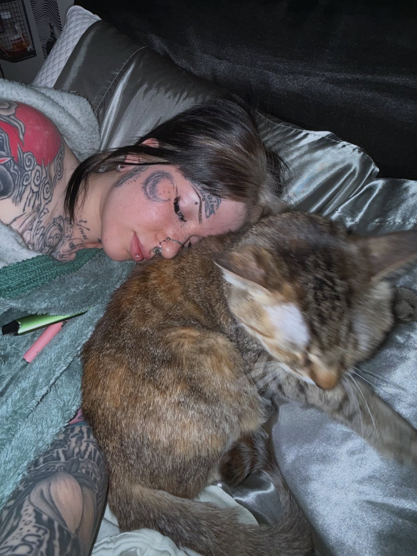 Cat American traditional tattoo on the chest by Kait