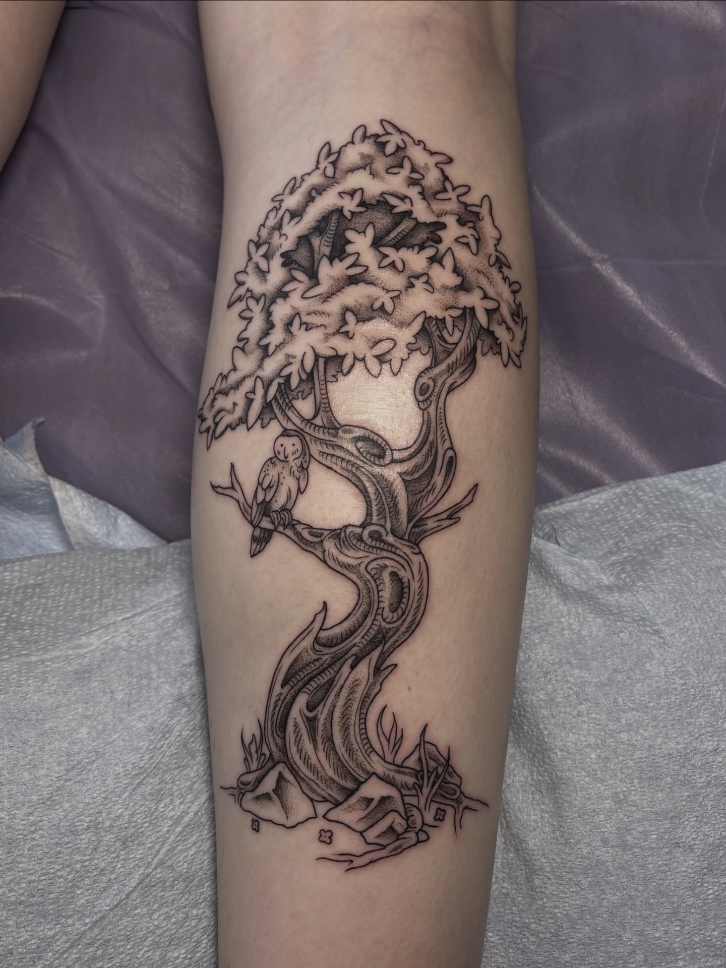 Tree with bird black and grey tattoo on the forearm by katie, Seattle, Washington