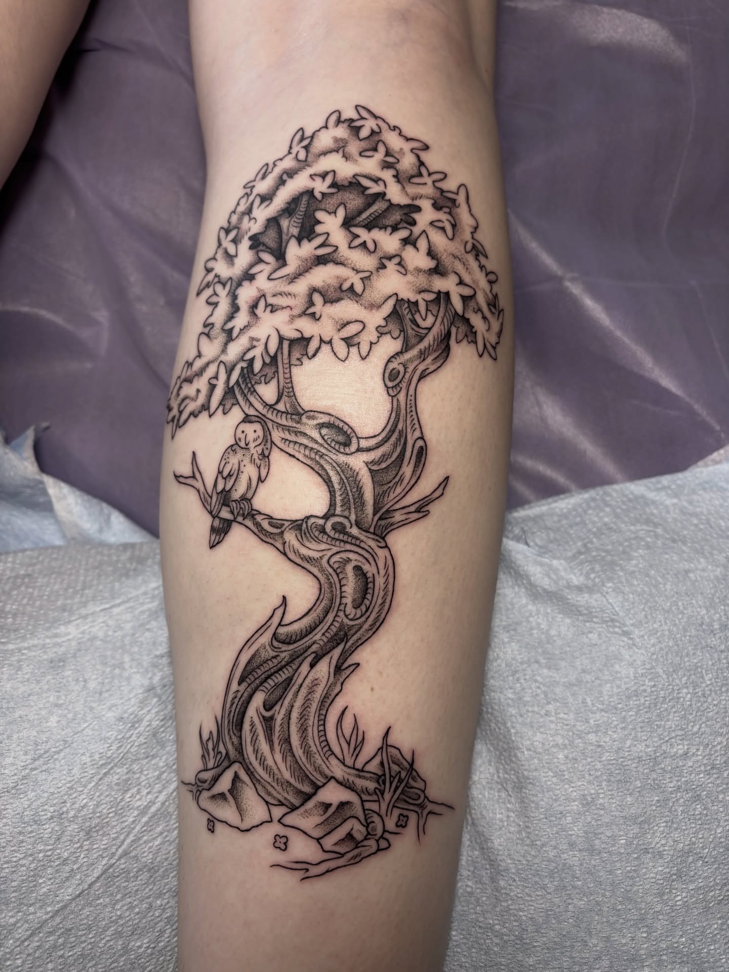 Tree with owl realism tattoo on the forearm by katie, Seattle, Washington
