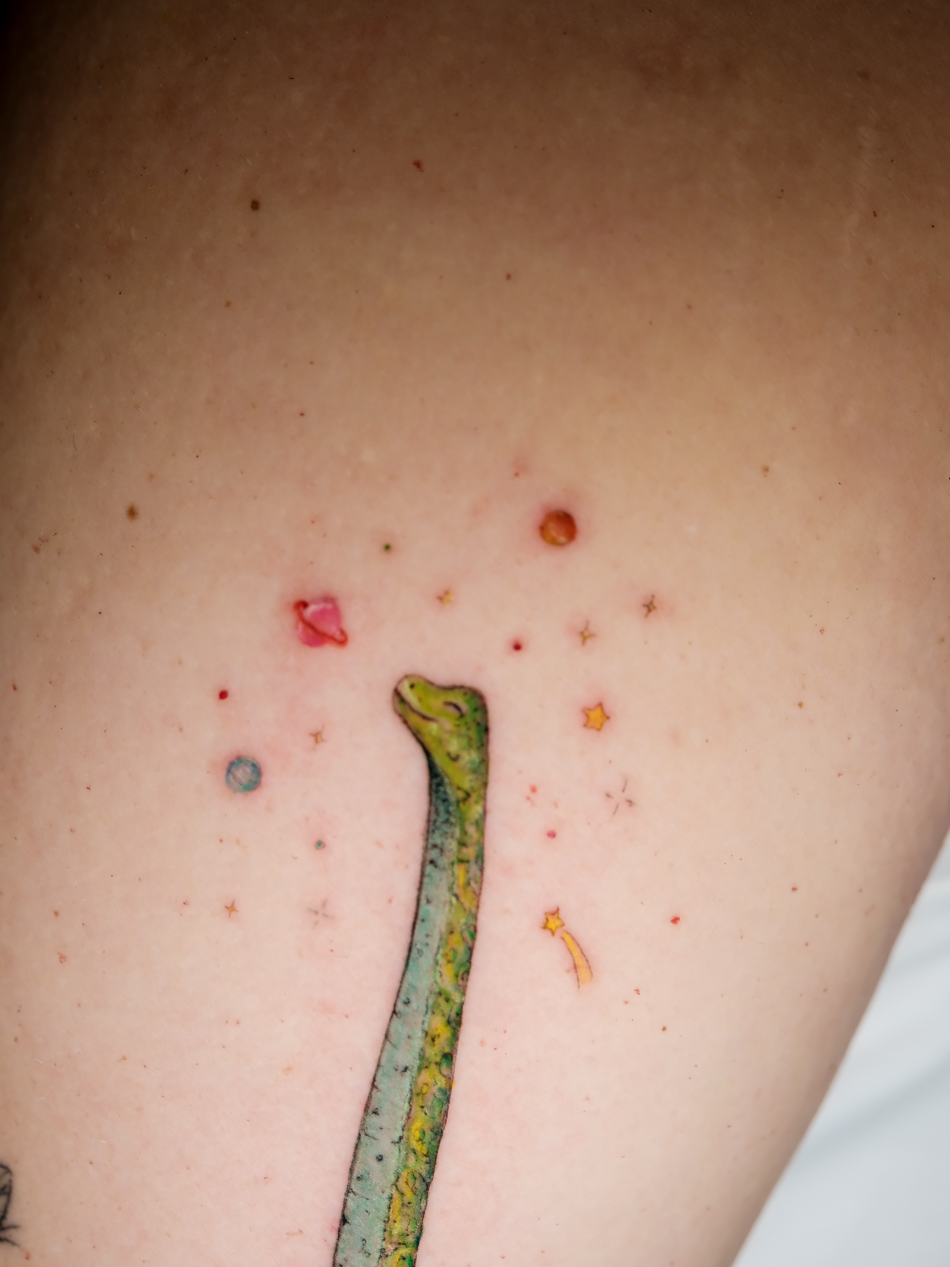 Lizard realism tattoo on the back by NAS