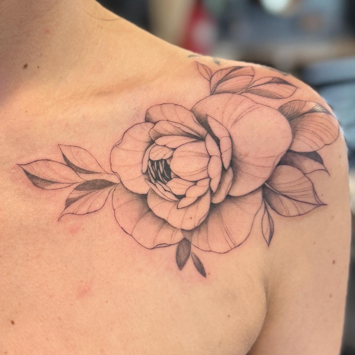 Peony black and grey tattoo on the shoulder by PxINK, Crystal, Minnesota