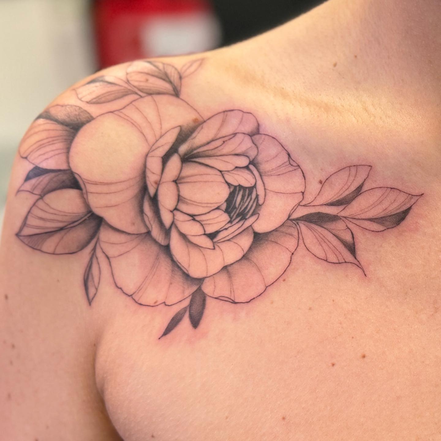 Peony black and grey tattoo on the shoulder by PxINK, Crystal, Minnesota