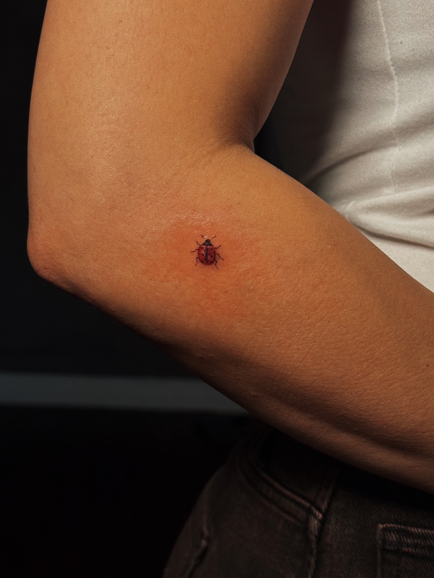 Ladybug dotwork tattoo on the forearm by Luisa Duarte