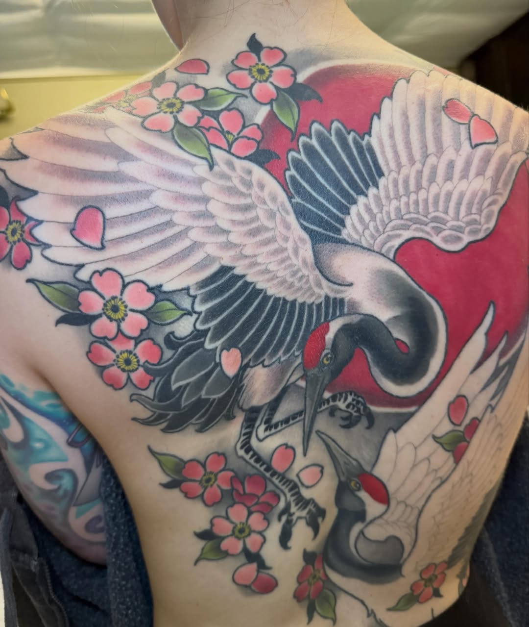 Crane and cherry blossoms American traditional tattoo on the back by Kyle Behr
