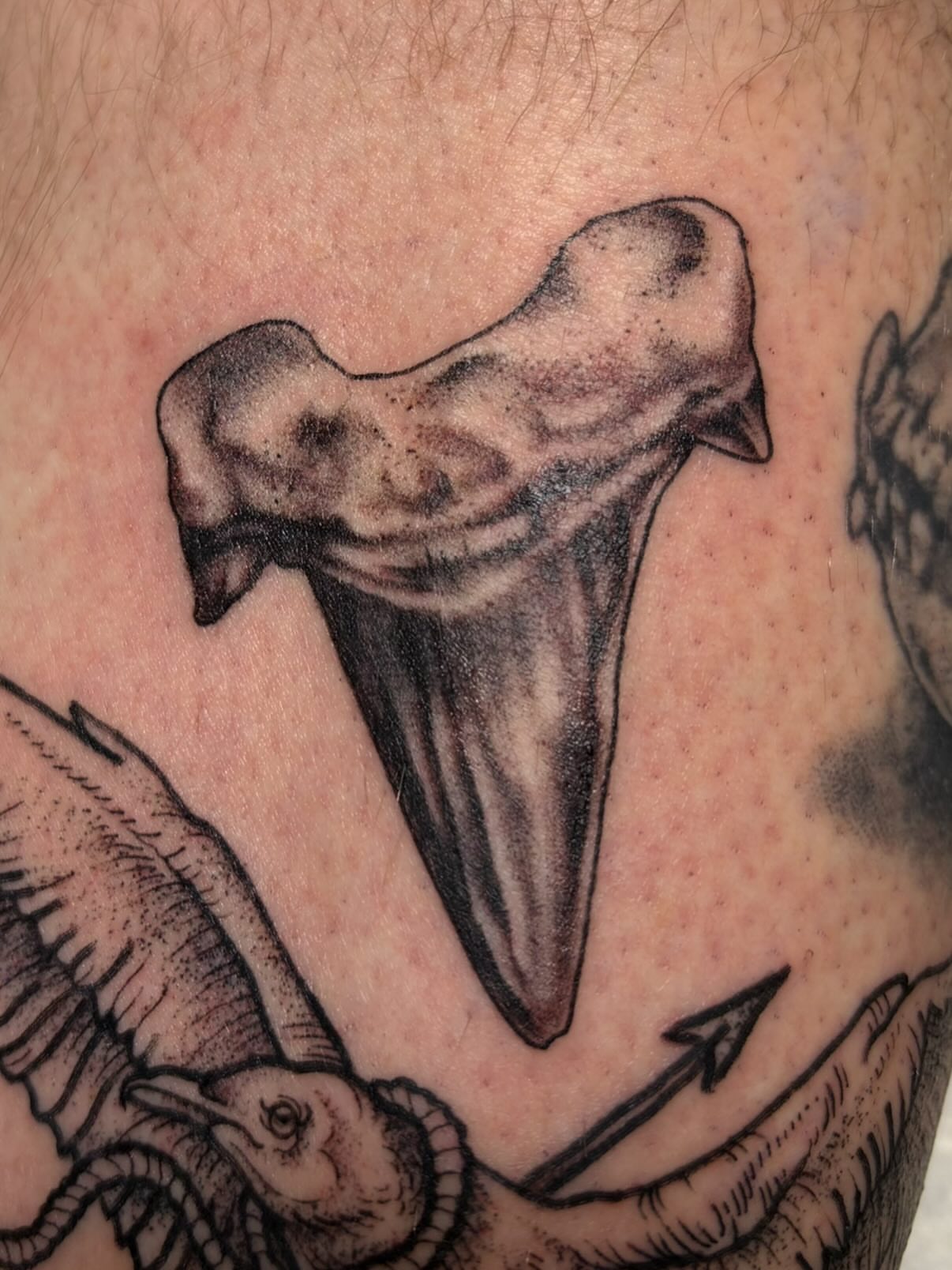 Tattoo by @thee_k8_kelly β black_and_grey