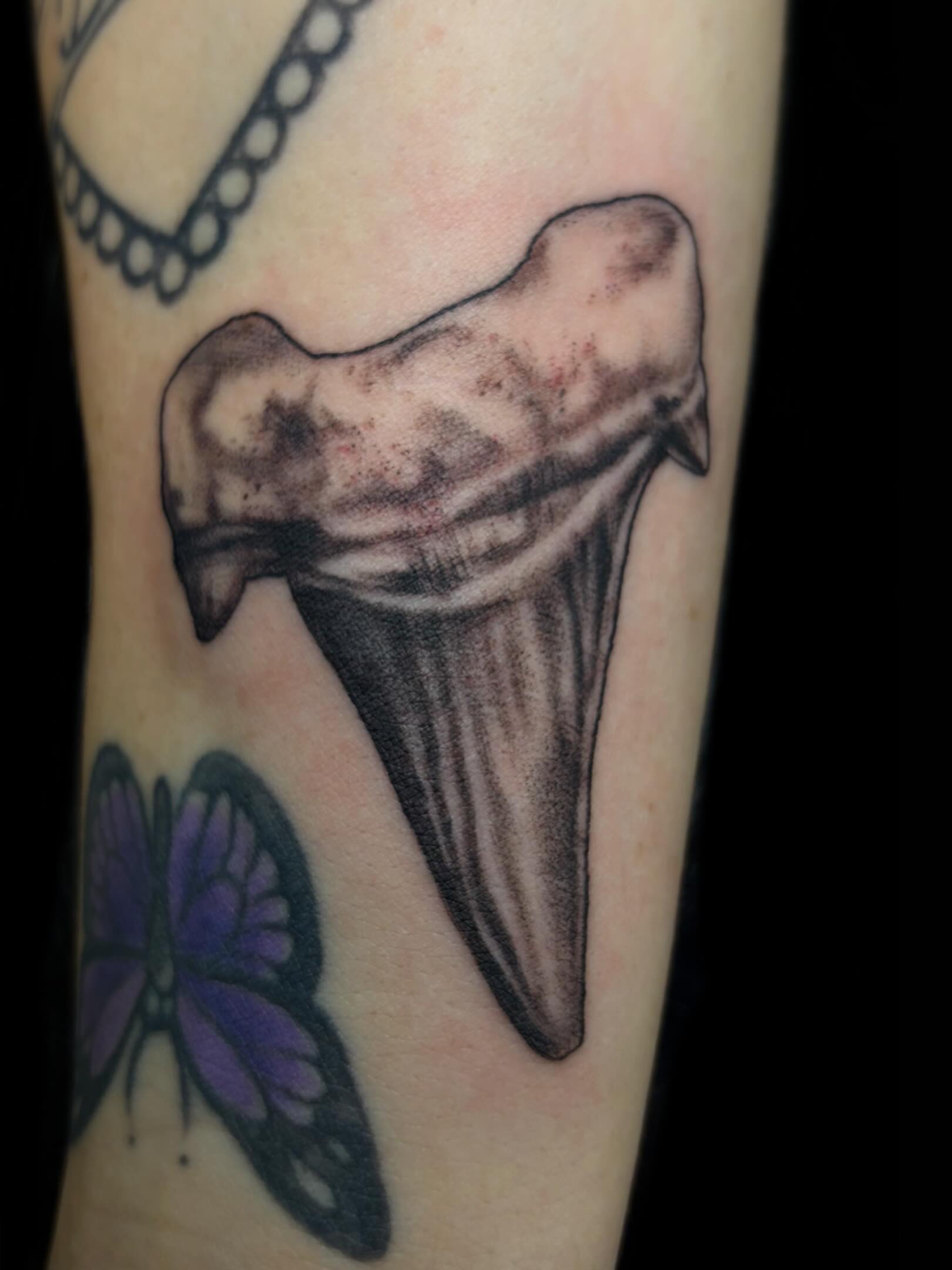 Shark tooth black and grey tattoo on the forearm by πππ₯π πππππͺ kΚ