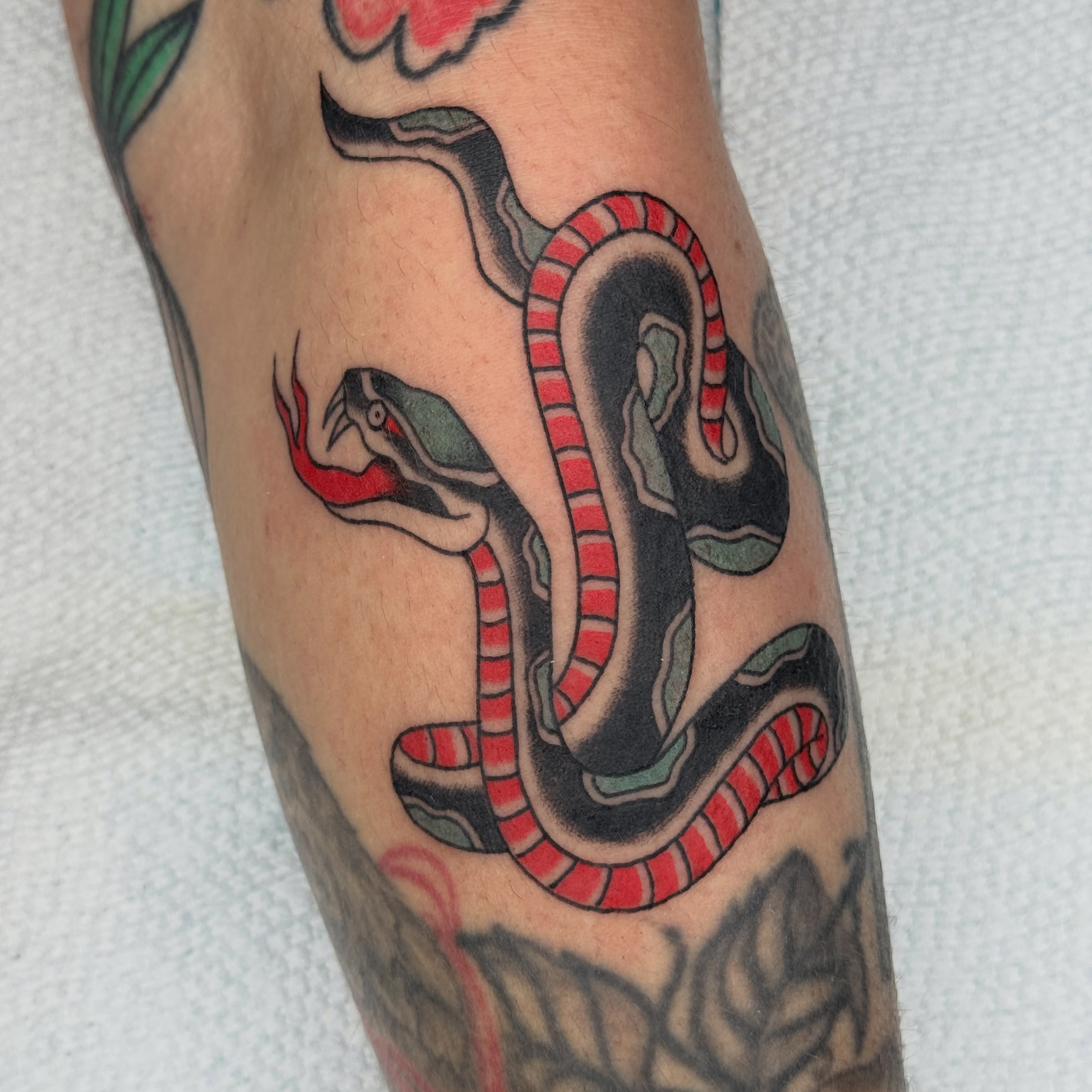 Snake American traditional tattoo on the forearm by Allie Barringer