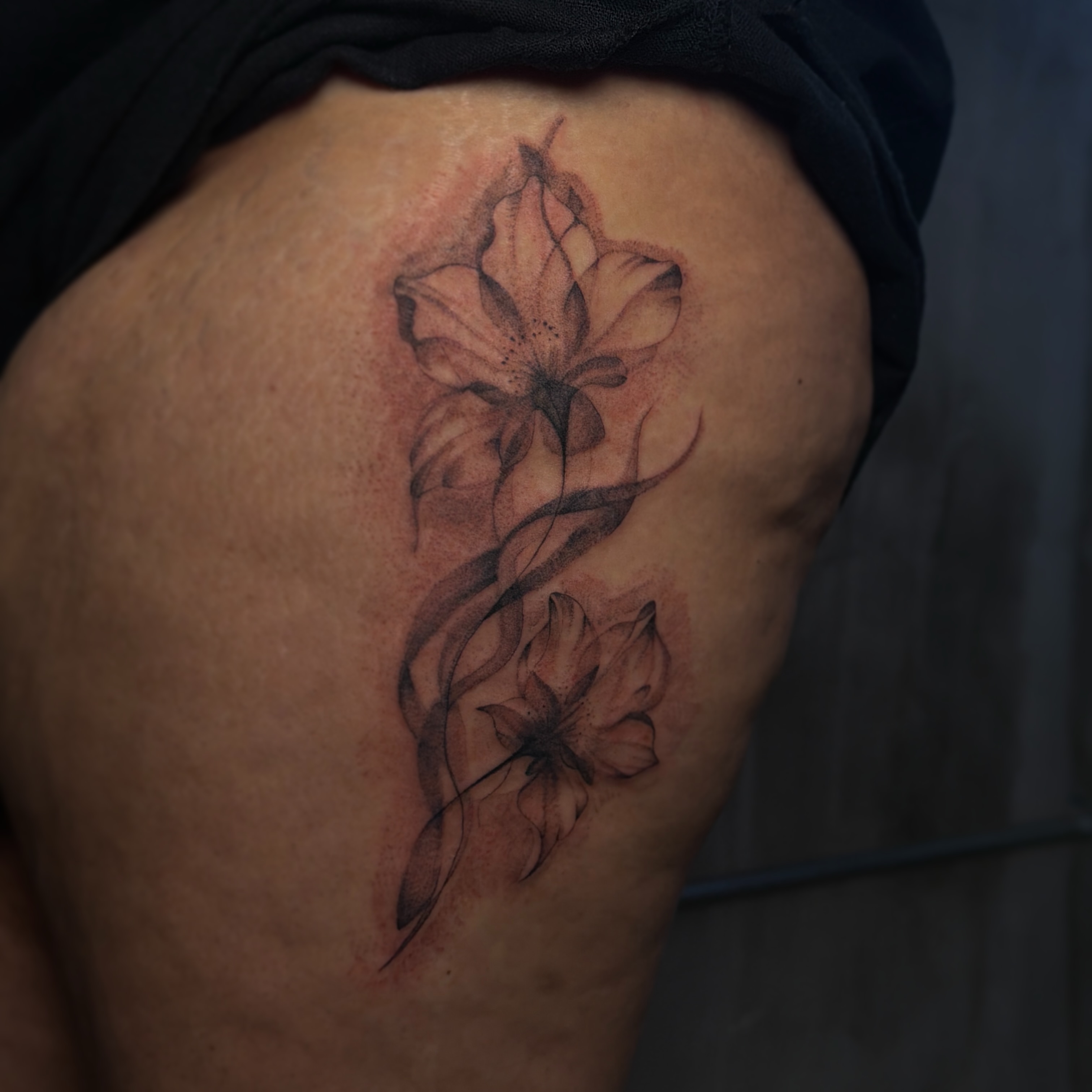 Lilies black and grey tattoo on the shoulder by 𝙸𝚗𝚔𝚊𝚗𝚍𝚕𝚒𝚕𝚢𝚜 🤎💉🐻🌸