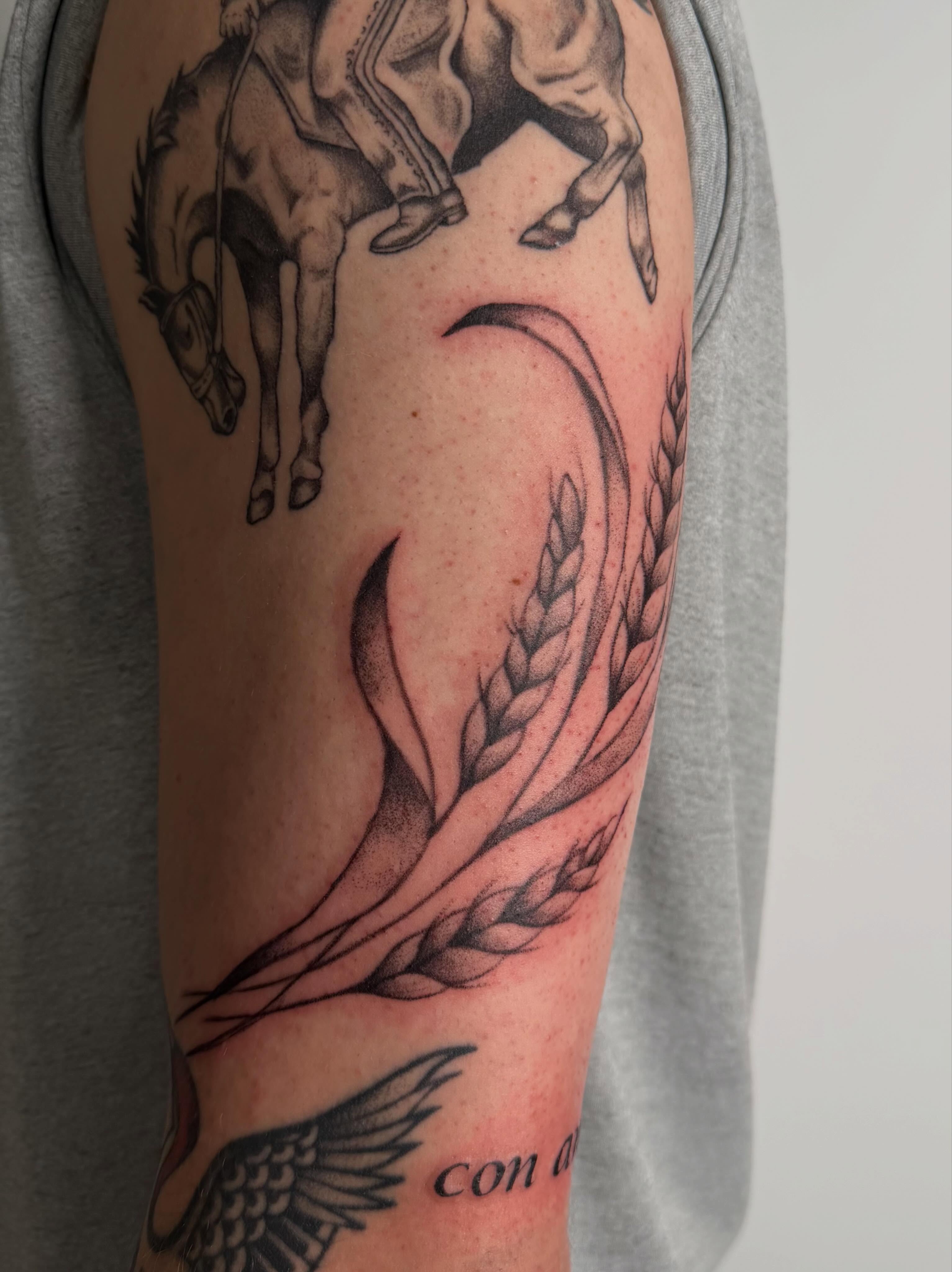 Wheat sheaf and horse black and grey tattoo on the forearm by Bailee