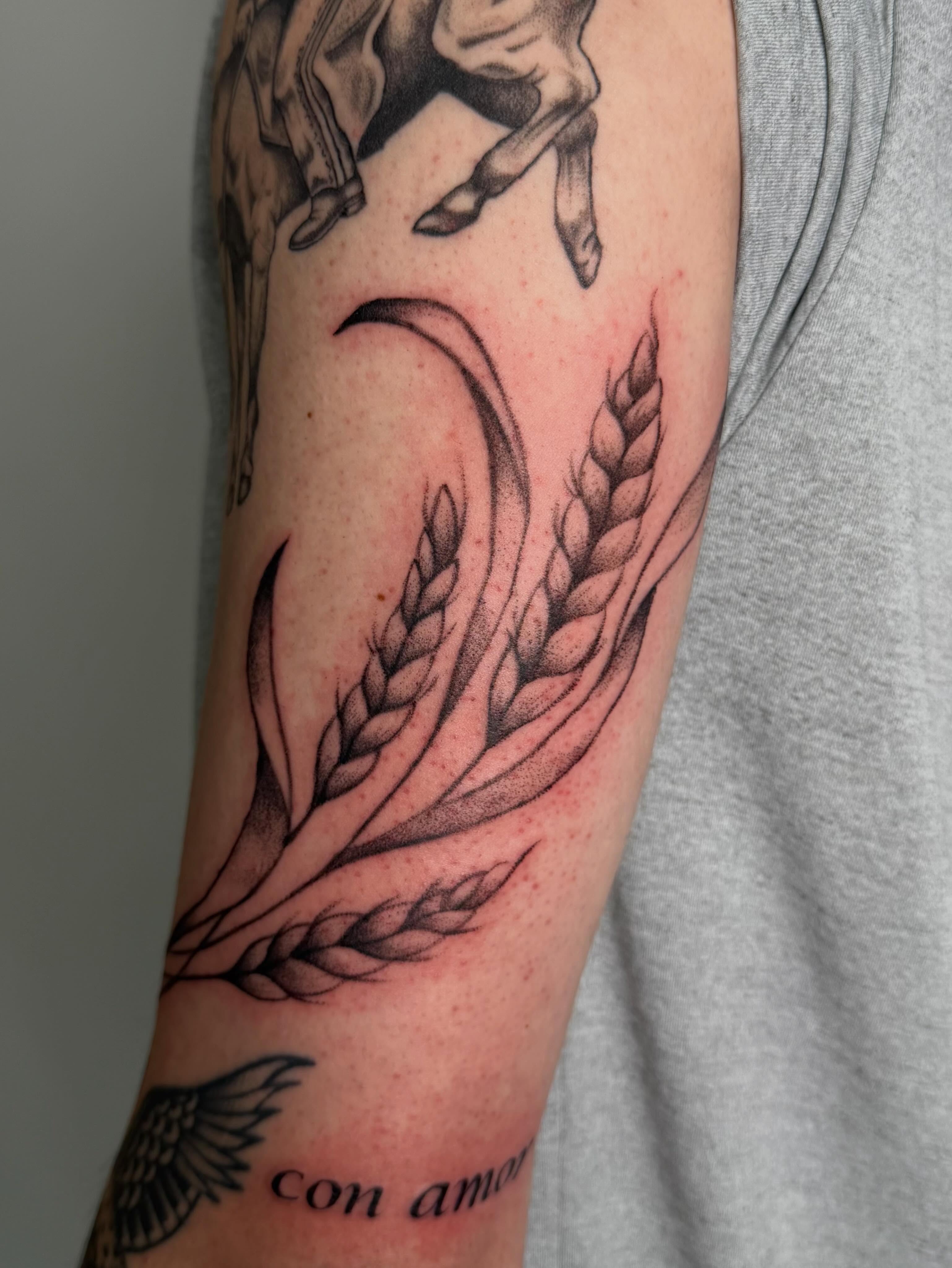 Wheat sheaf dotwork tattoo on the forearm by Bailee