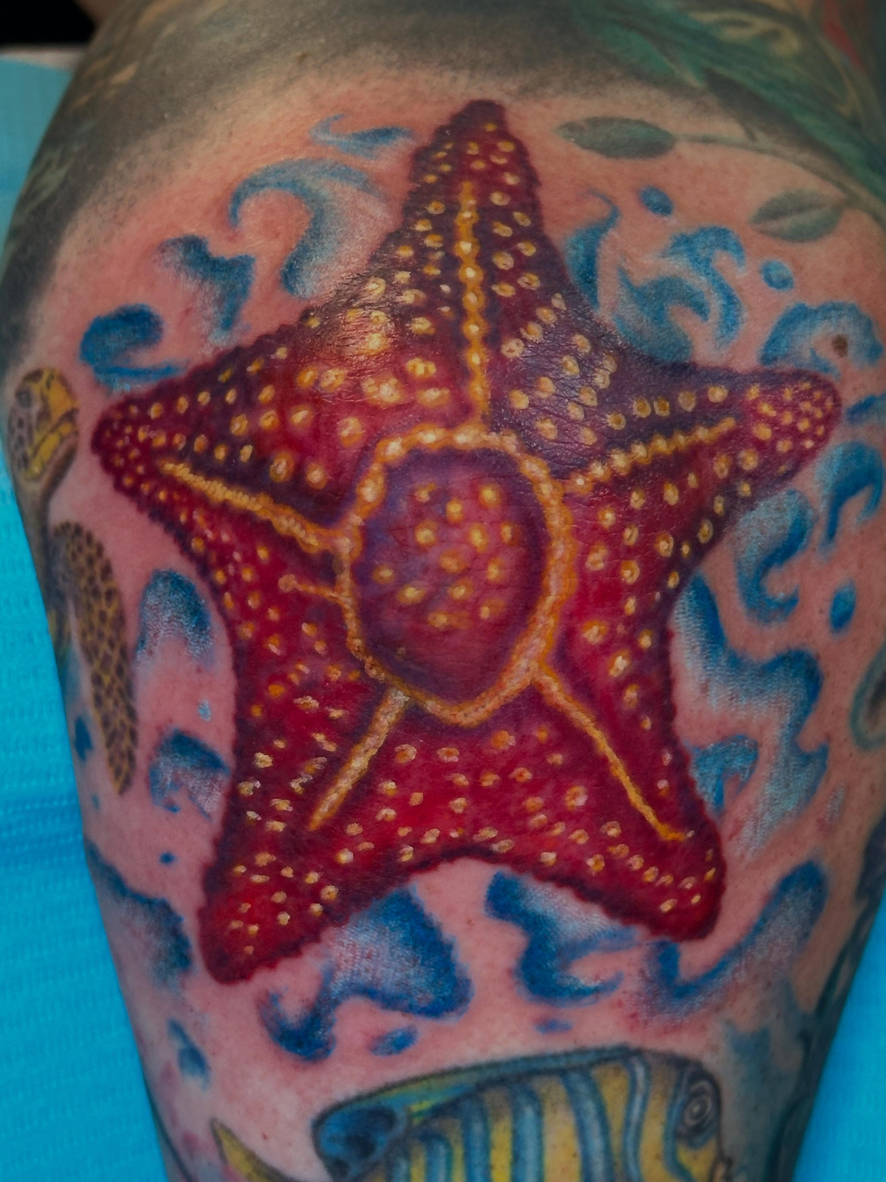 Starfish dotwork tattoo on the upper arm by 𝕳𝖆𝖓𝖓𝖆𝖍 𝕮𝖆𝖓𝖋𝖎𝖊𝖑𝖉 ✨ Memphis Tattoo Artist, Memphis, Tennessee