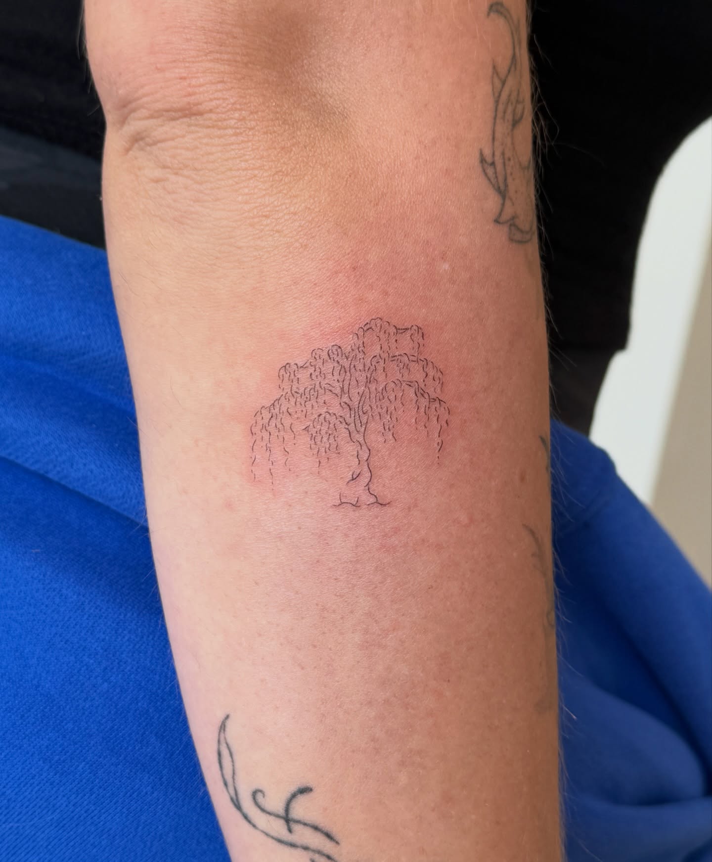 Weeping willow tree black and grey tattoo on the forearm by Fine Line Tattoos
