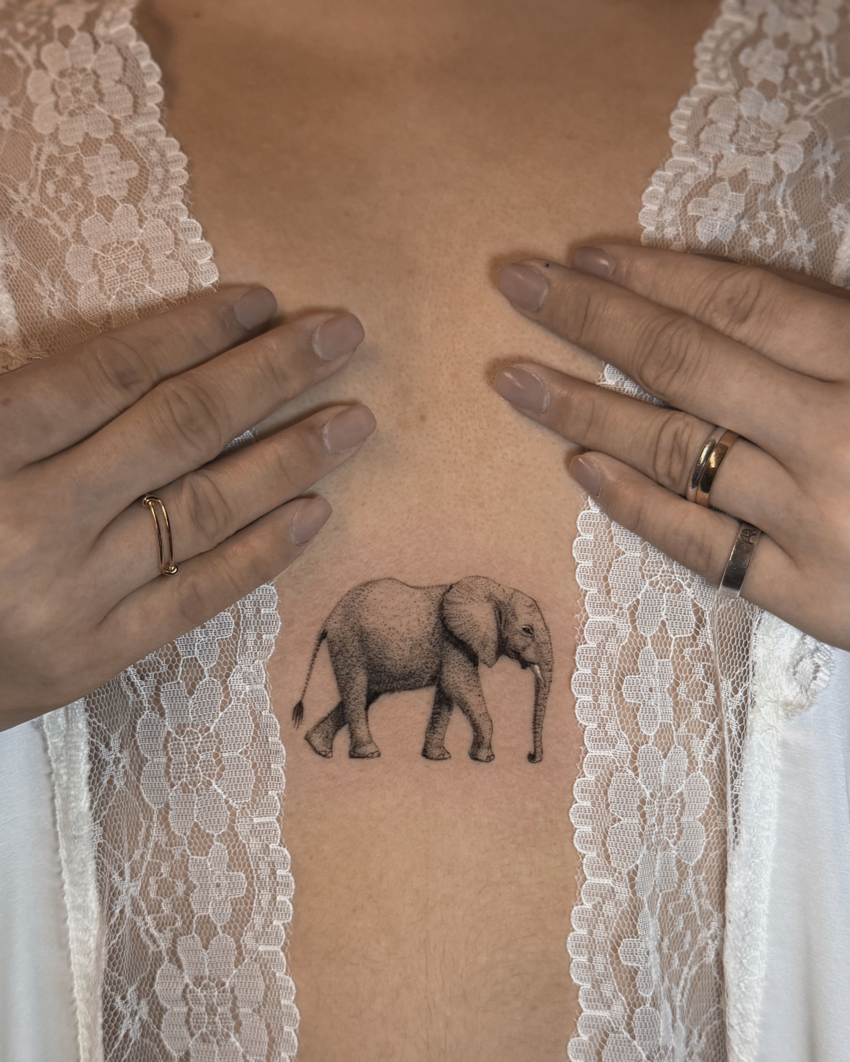 Elephant black and grey tattoo on the torso by 𝙆𝙖𝙩𝙣𝙞𝙨𝙨