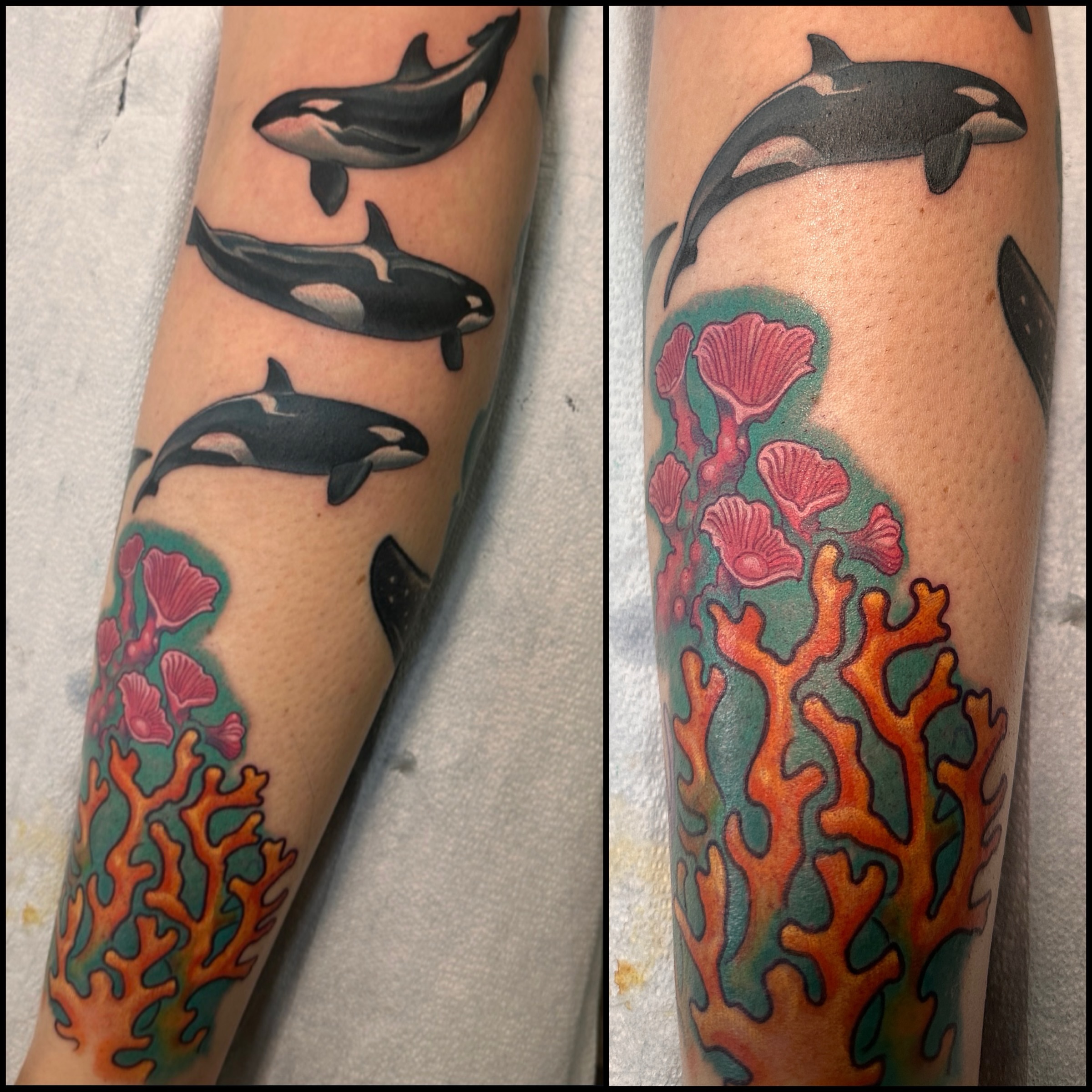 Killer whales and coral realism tattoo on the forearm by John Tarrao, Berwyn, Pennsylvania
