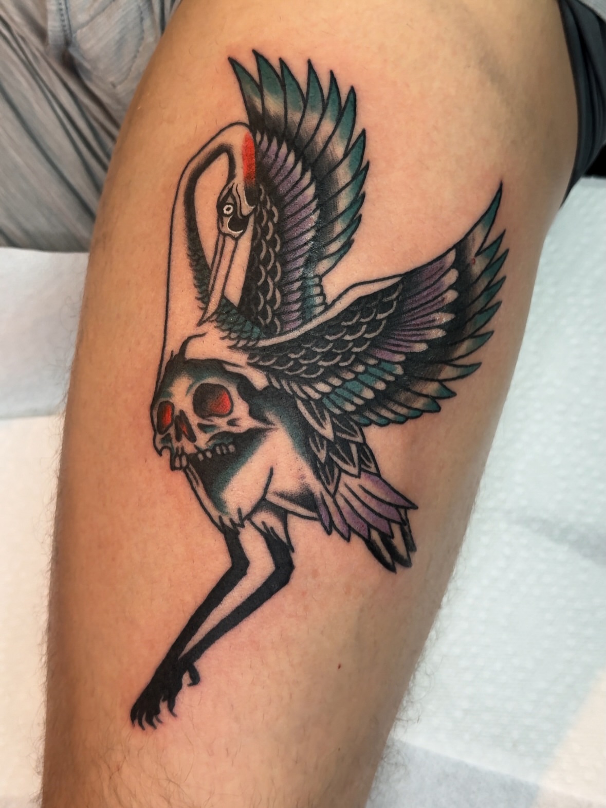 Bird and skull American traditional tattoo on the forearm by Allie Barringer