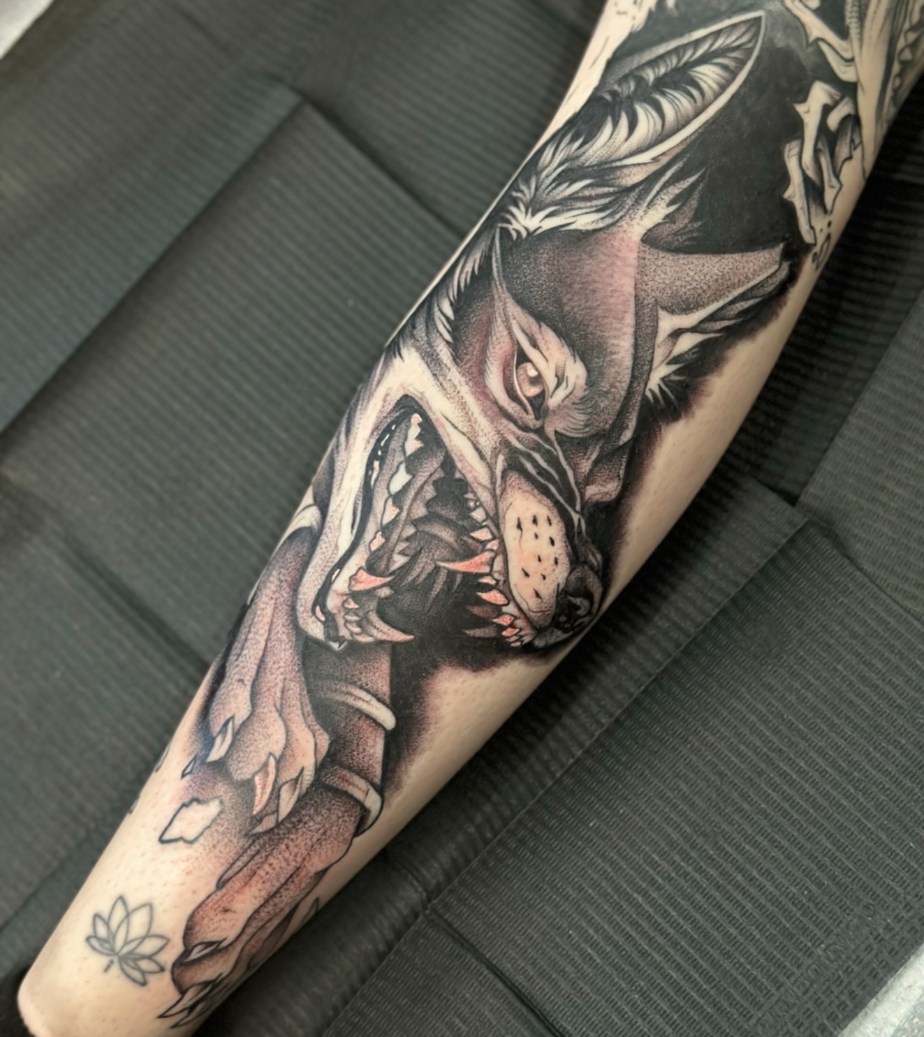 Wolf realism tattoo on the forearm by Feliz Manzanedo, Prescott, Arizona
