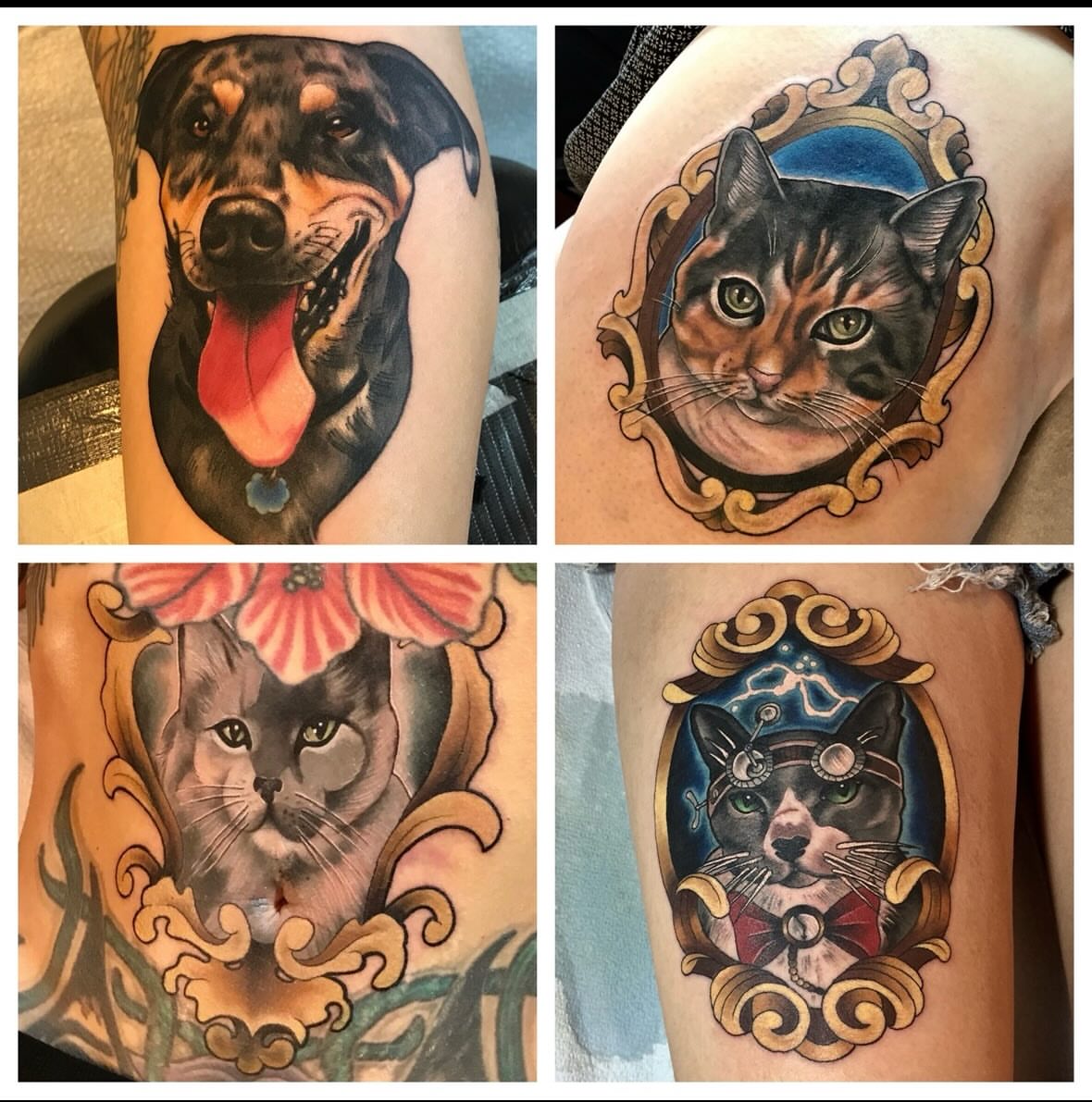 Dog American traditional tattoo on the upper arm by Jamie Winn