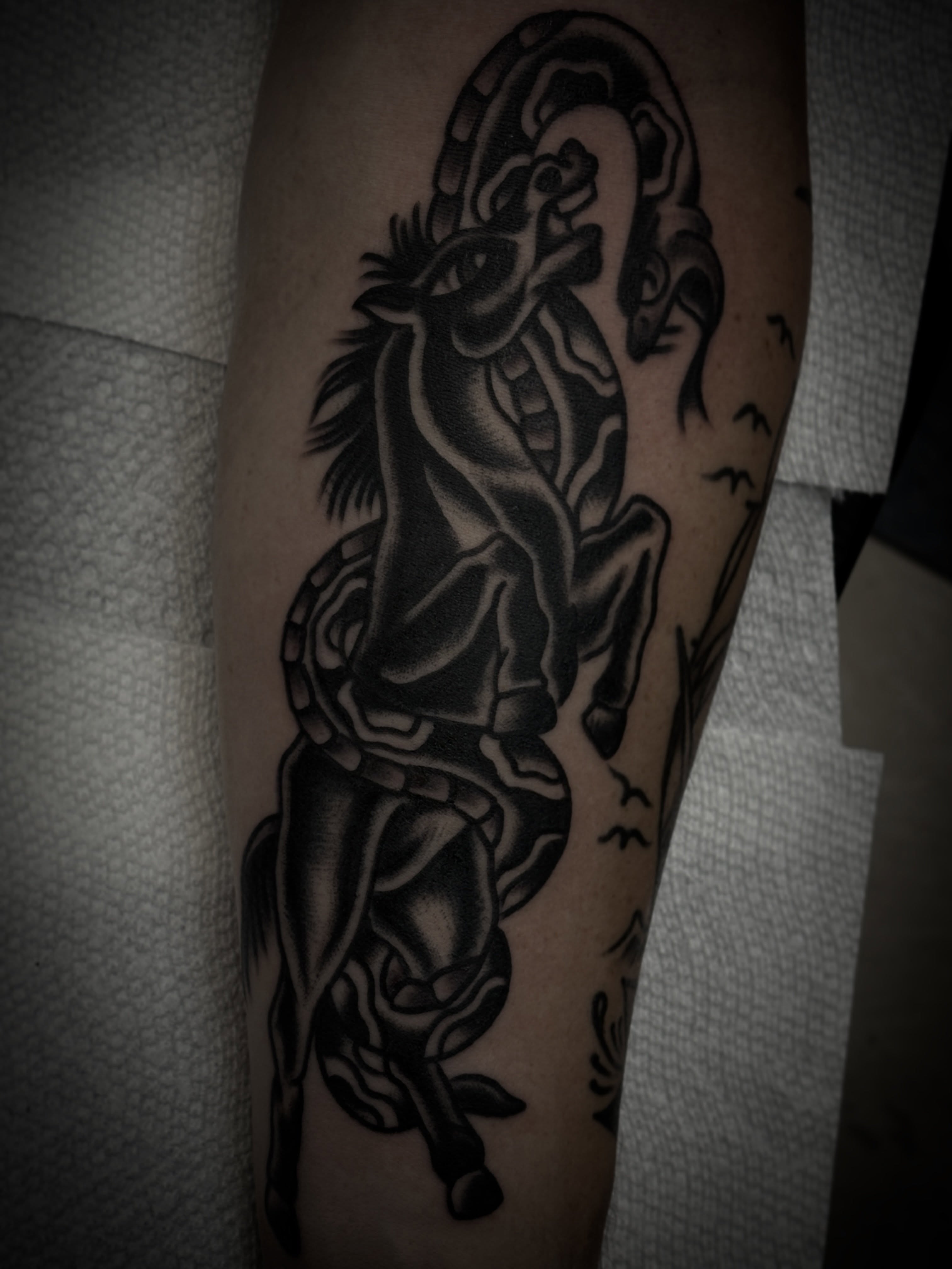 Horse rearing American traditional tattoo on the forearm by Carlos Gonzalez Tattoo, Dallas, Texas