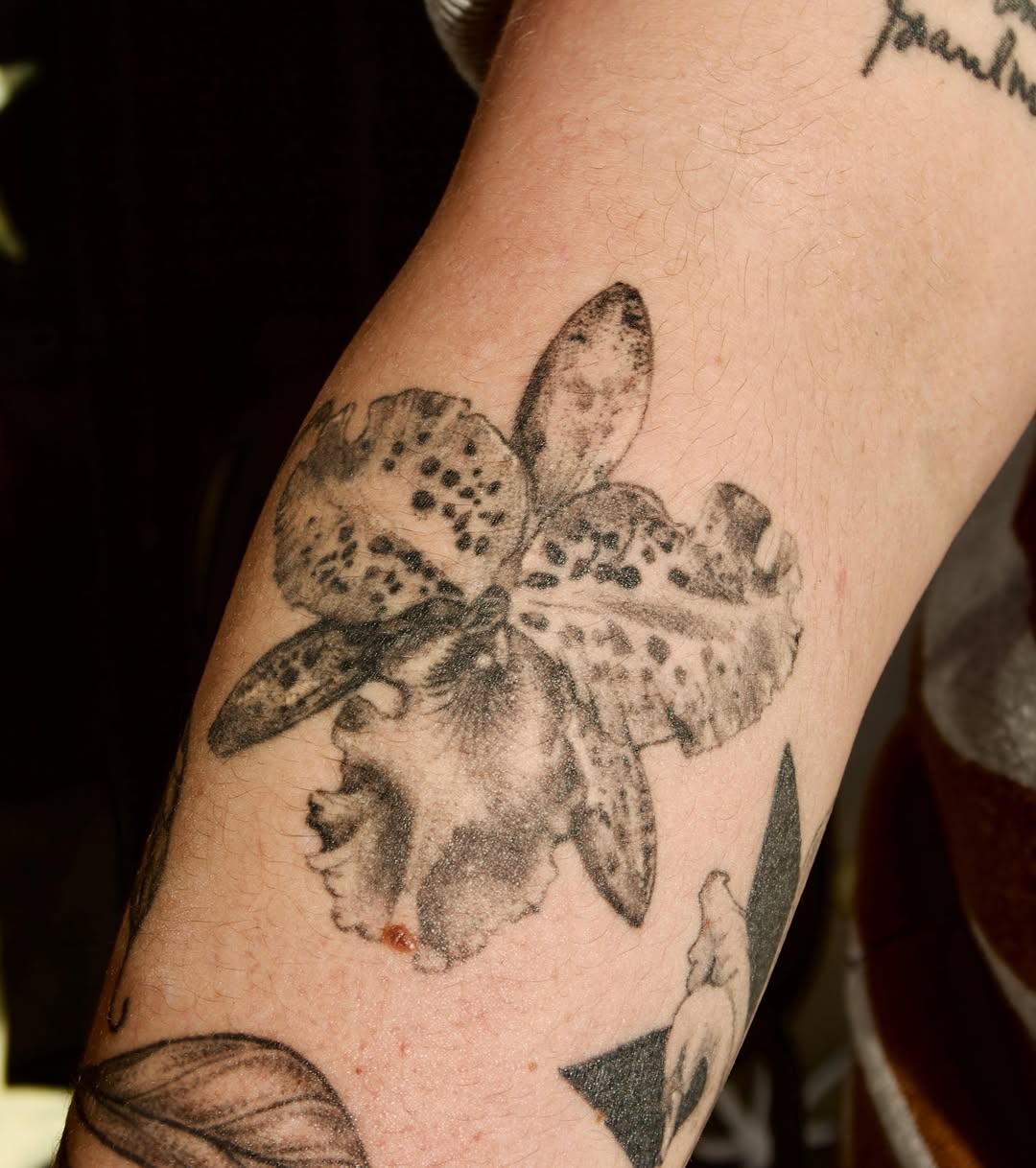 Lily dotwork tattoo on the forearm by ✧Lee Ortiz