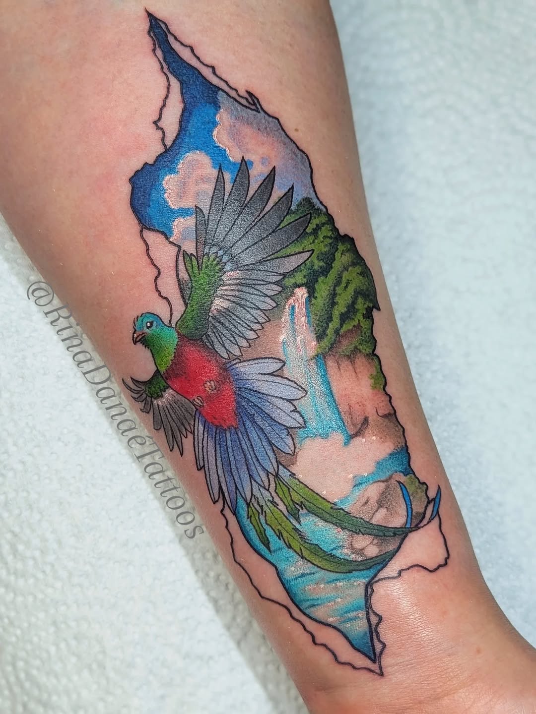 Tattoo by @rinadanae_tattoos — realism, illustrative