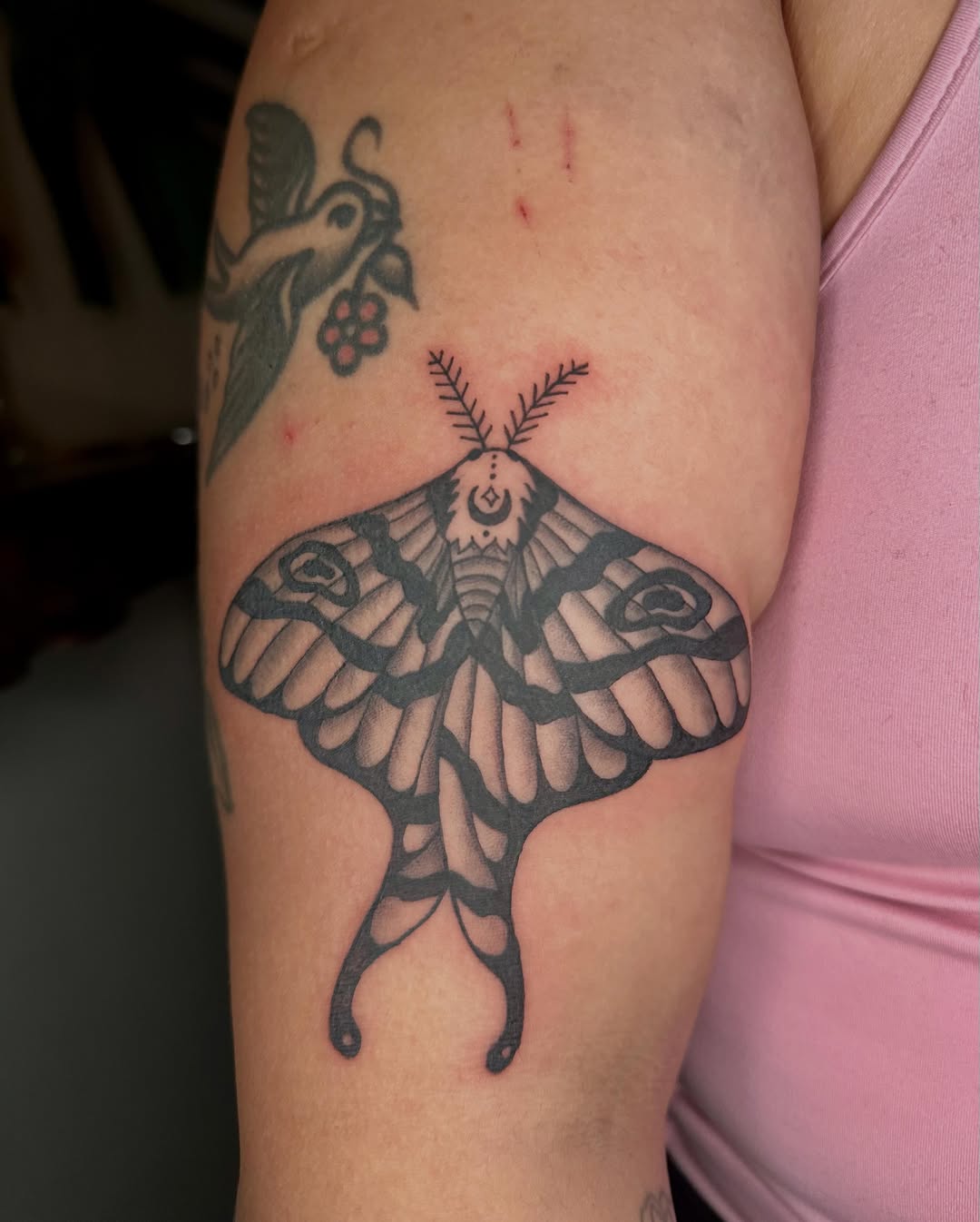 Luna moth fine line tattoo on the forearm by Jadelin, San Francisco, California