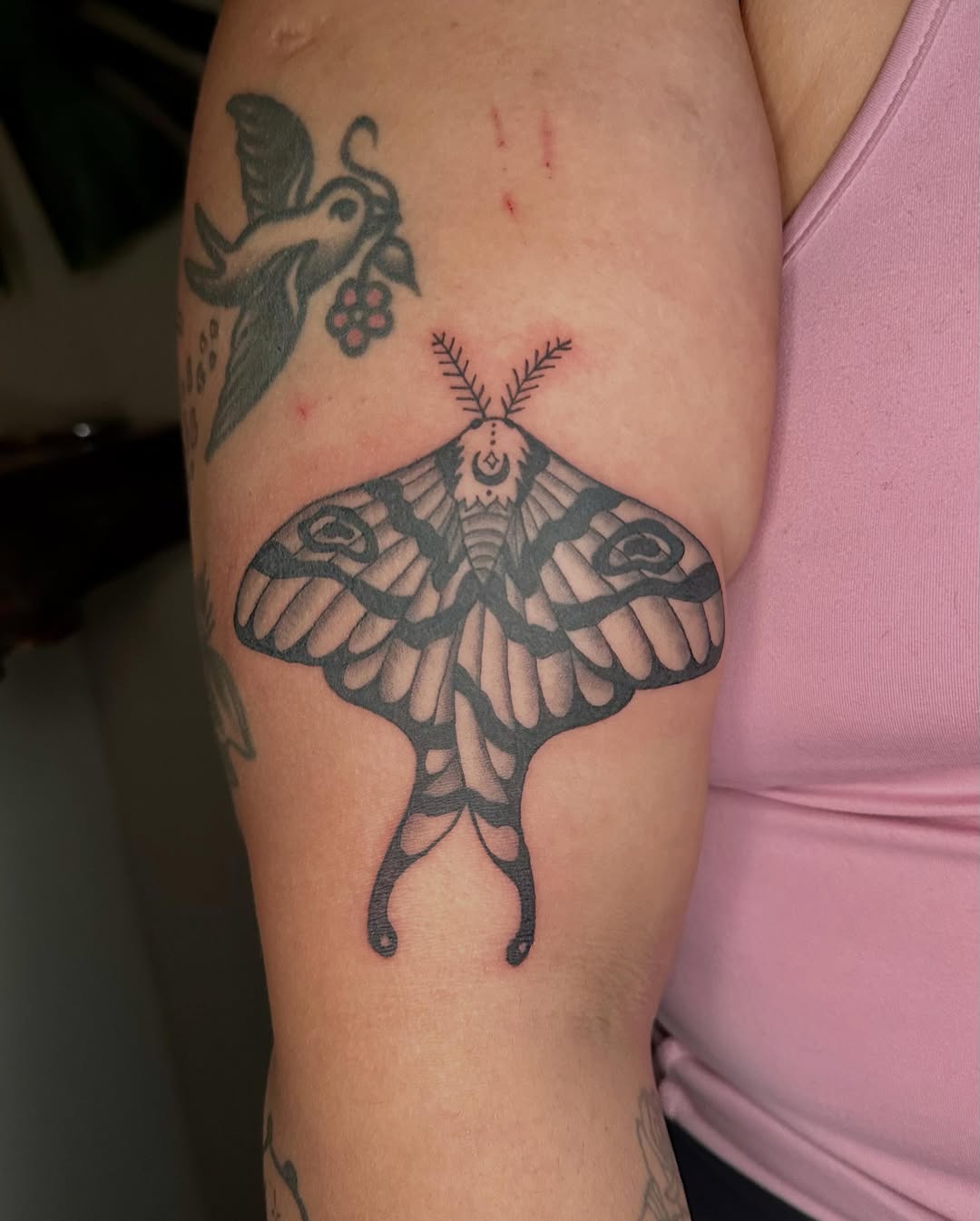 Moth fine line tattoo on the upper arm by Jadelin, San Francisco, California