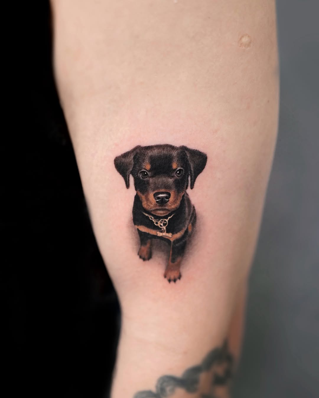 Tattoo by Abbey Zhang, Vancouver, British Columbia