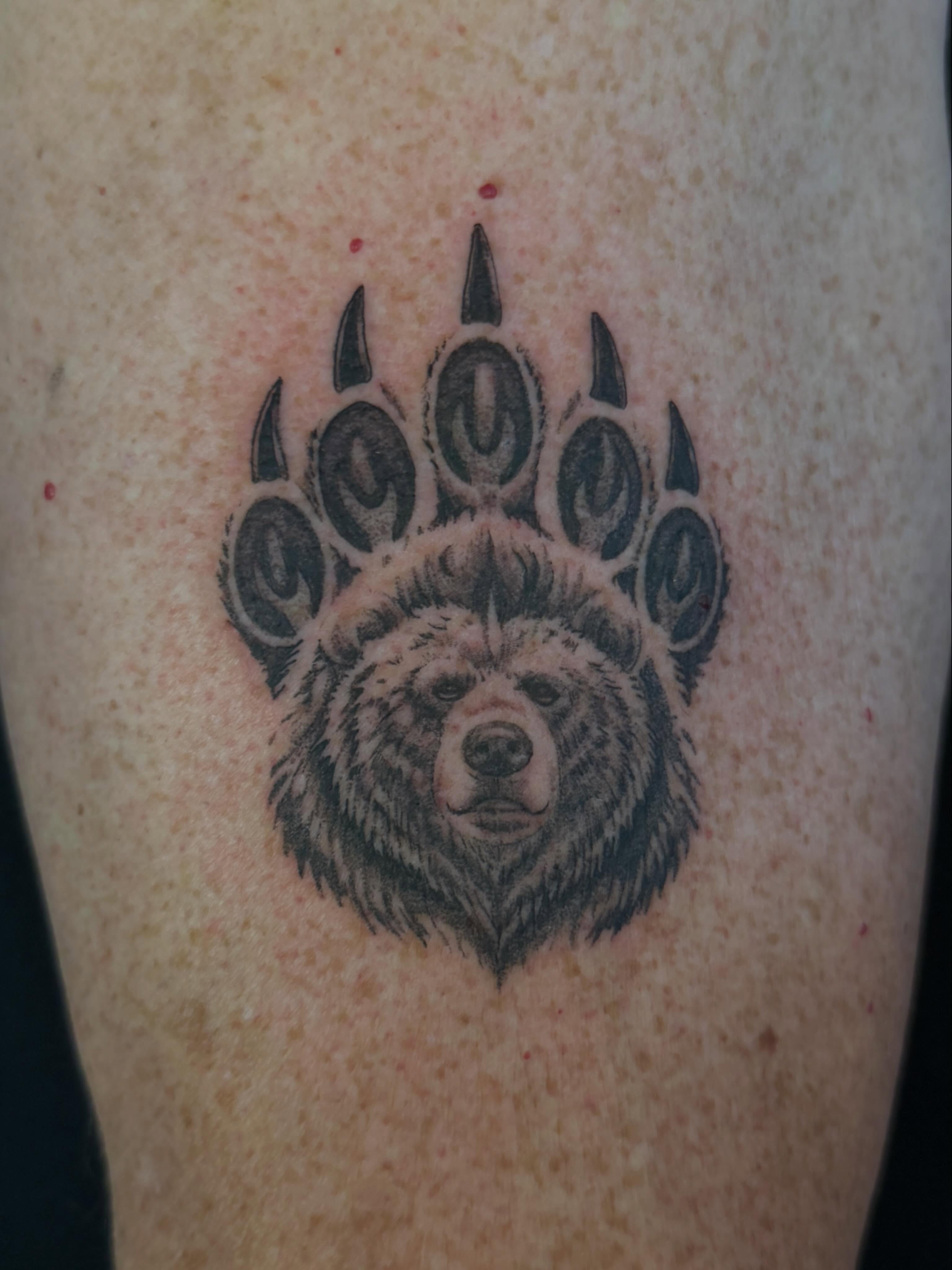 Bear paw and bear black and grey tattoo on the forearm by Kevin, Las Vegas, Nevada