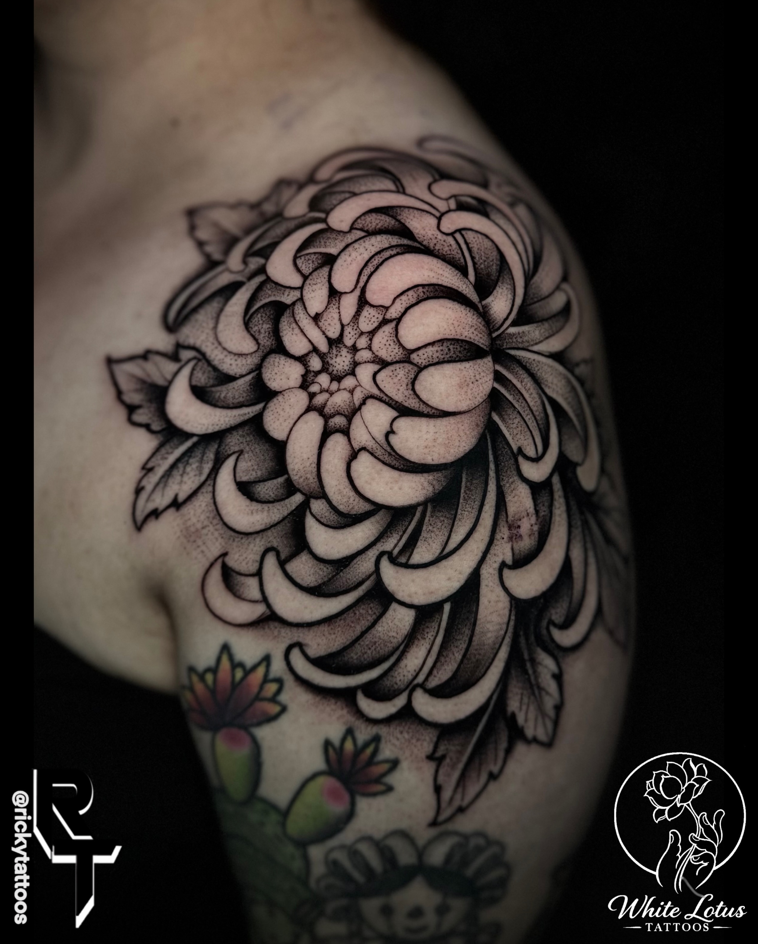 Chrysanthemum dotwork tattoo on the shoulder by Ricky Salinas Jr. π€, San Antonio, Texas