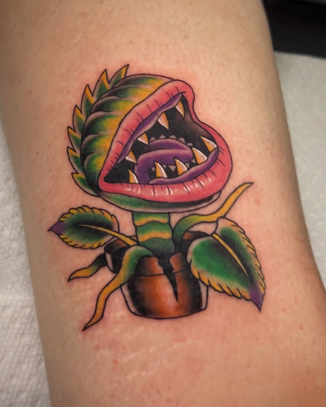 Tattoo by @snakesanddaggers — american_traditional, new_school