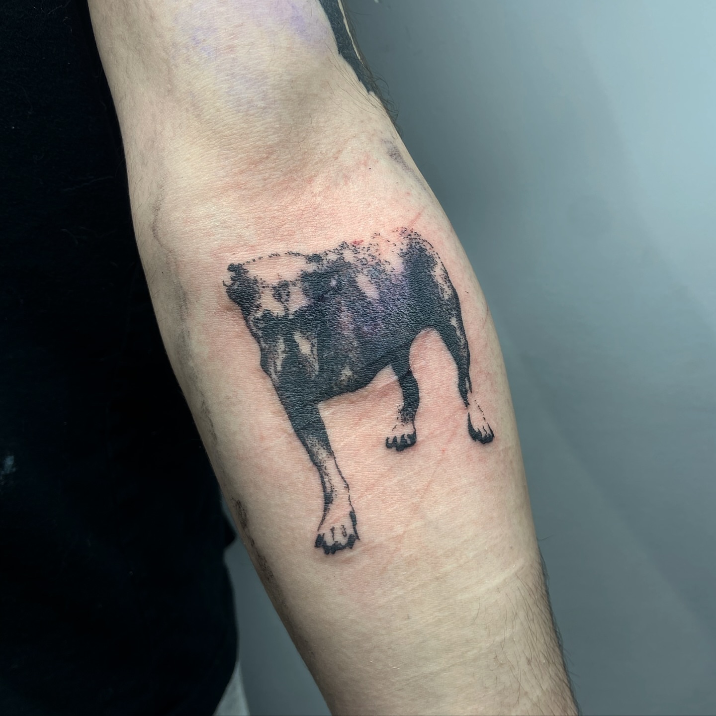 Tattoo by @ilenadoodles β black_and_grey