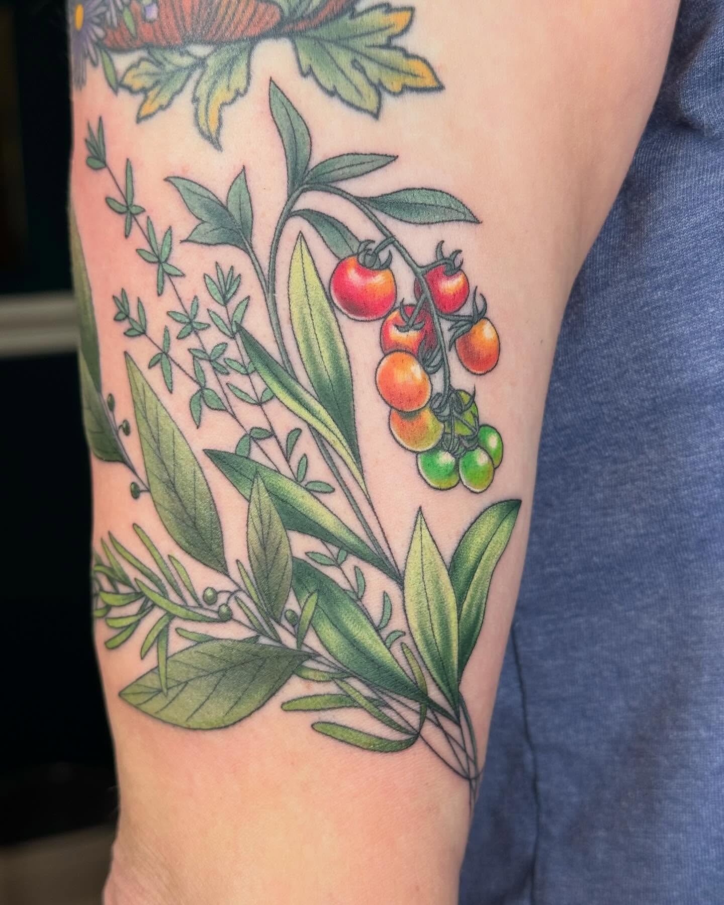 Tomato plant realism tattoo on the forearm by Larkin Resler