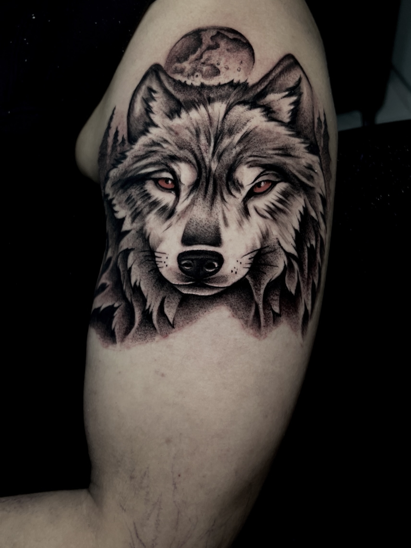 Wolf realism tattoo on the forearm by David Carras-pol, Miramar, Florida