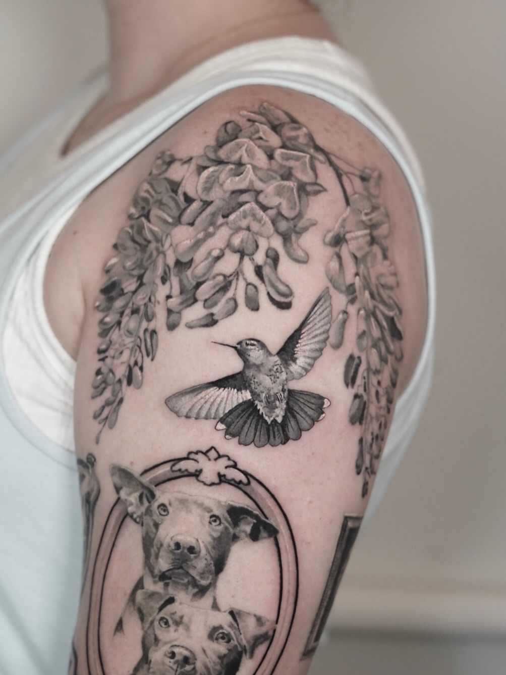 Hummingbird and wisteria realism tattoo on the shoulder by Tate Wortham