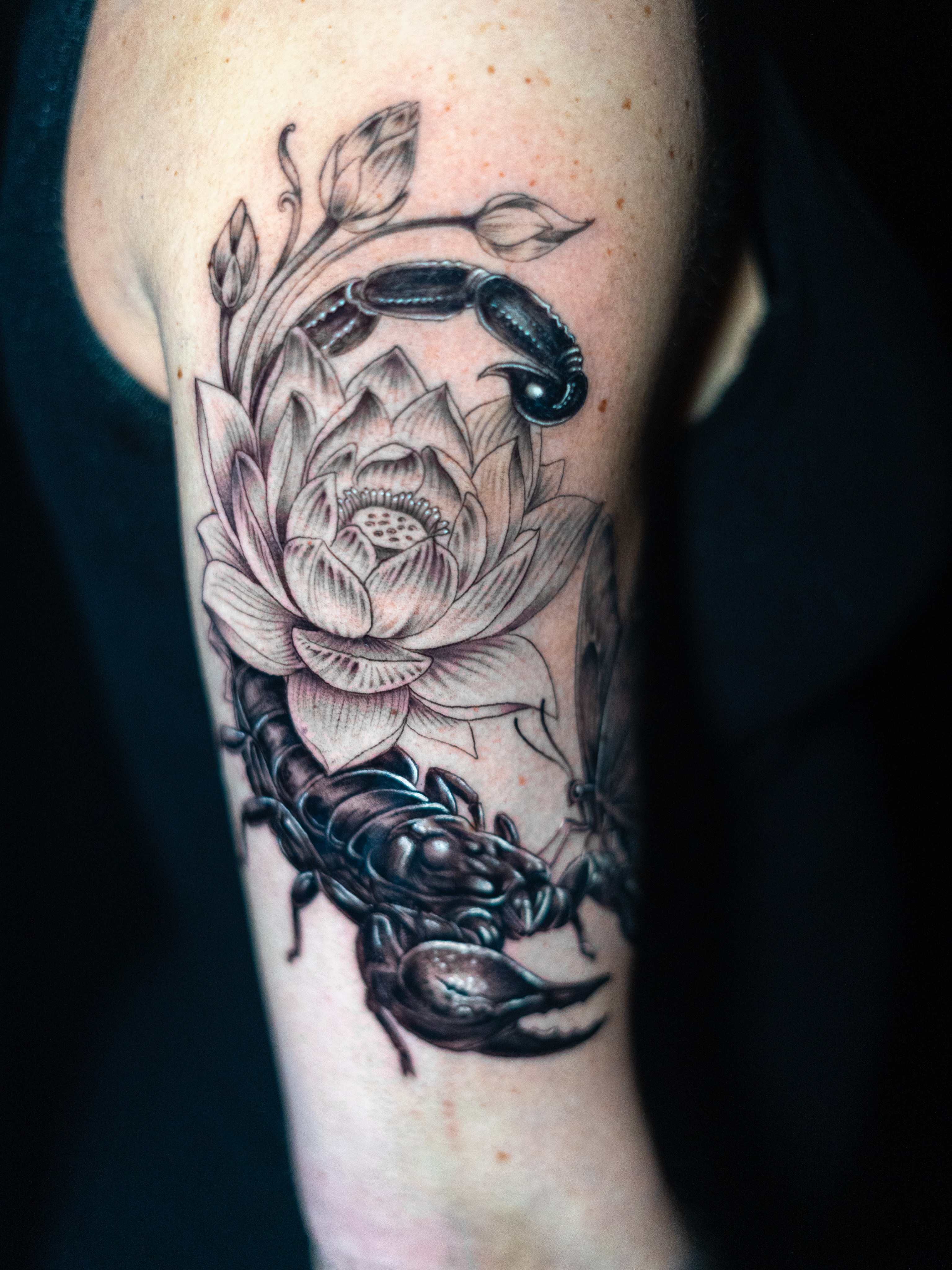 Scorpion and lotus flower fine line tattoo on the forearm by James Jurado