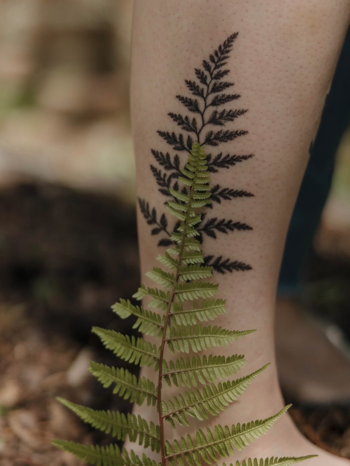 Fern fine line tattoo on the forearm by Sarah Seveney