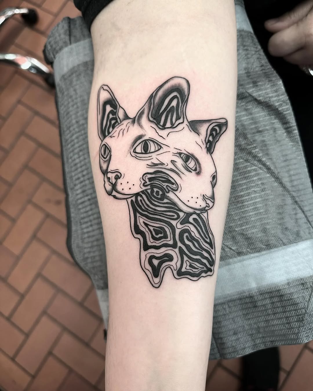 Two-headed cat surrealism tattoo on the forearm by Jaleel Trantow