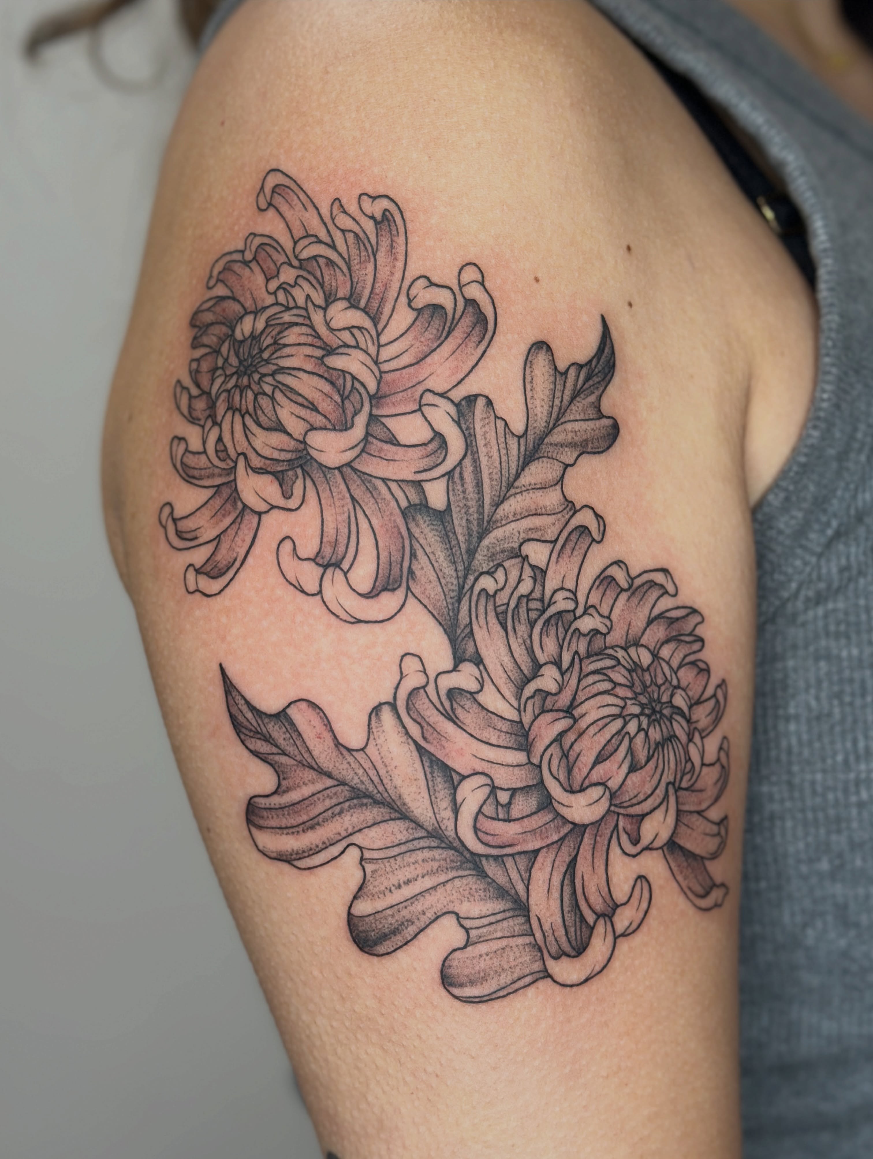 Chrysanthemums black and grey tattoo on the shoulder by Gabrielle Brodman 🎀 Raleigh-Durham Tattoo