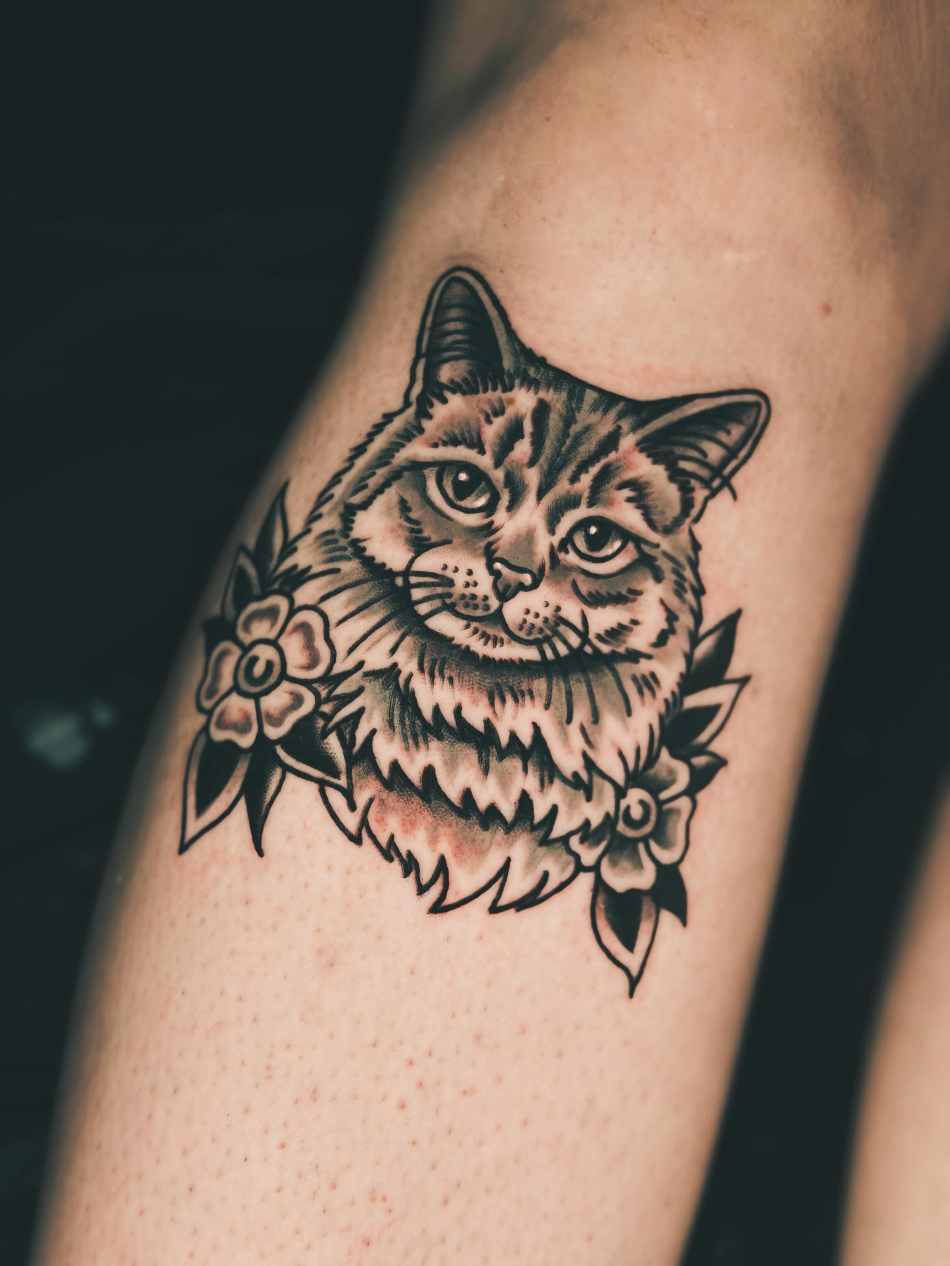Cat black and grey tattoo on the forearm by R e N O T