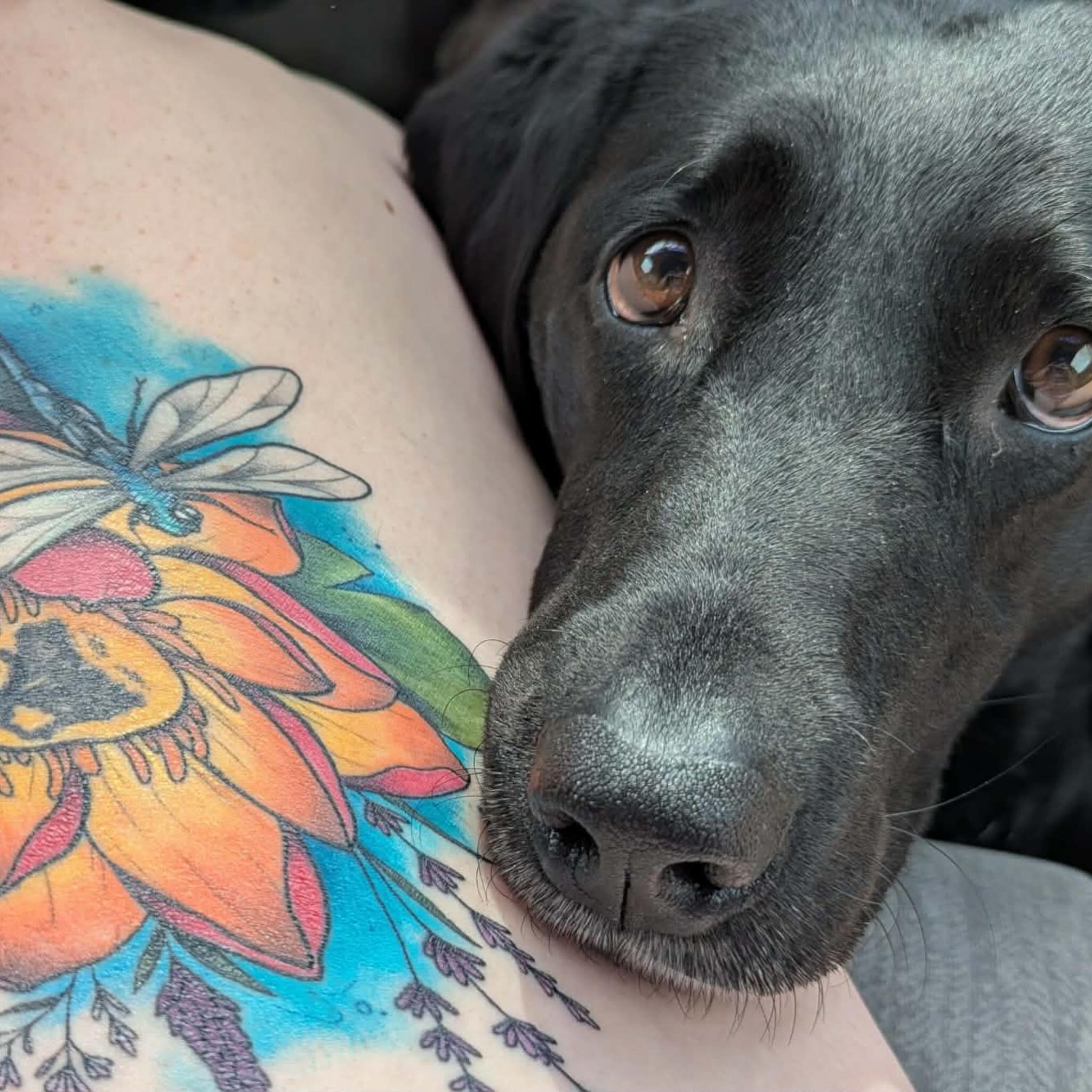 Flower and butterfly new school tattoo on the thigh by Bailey Goodwin, Ankeny, Iowa