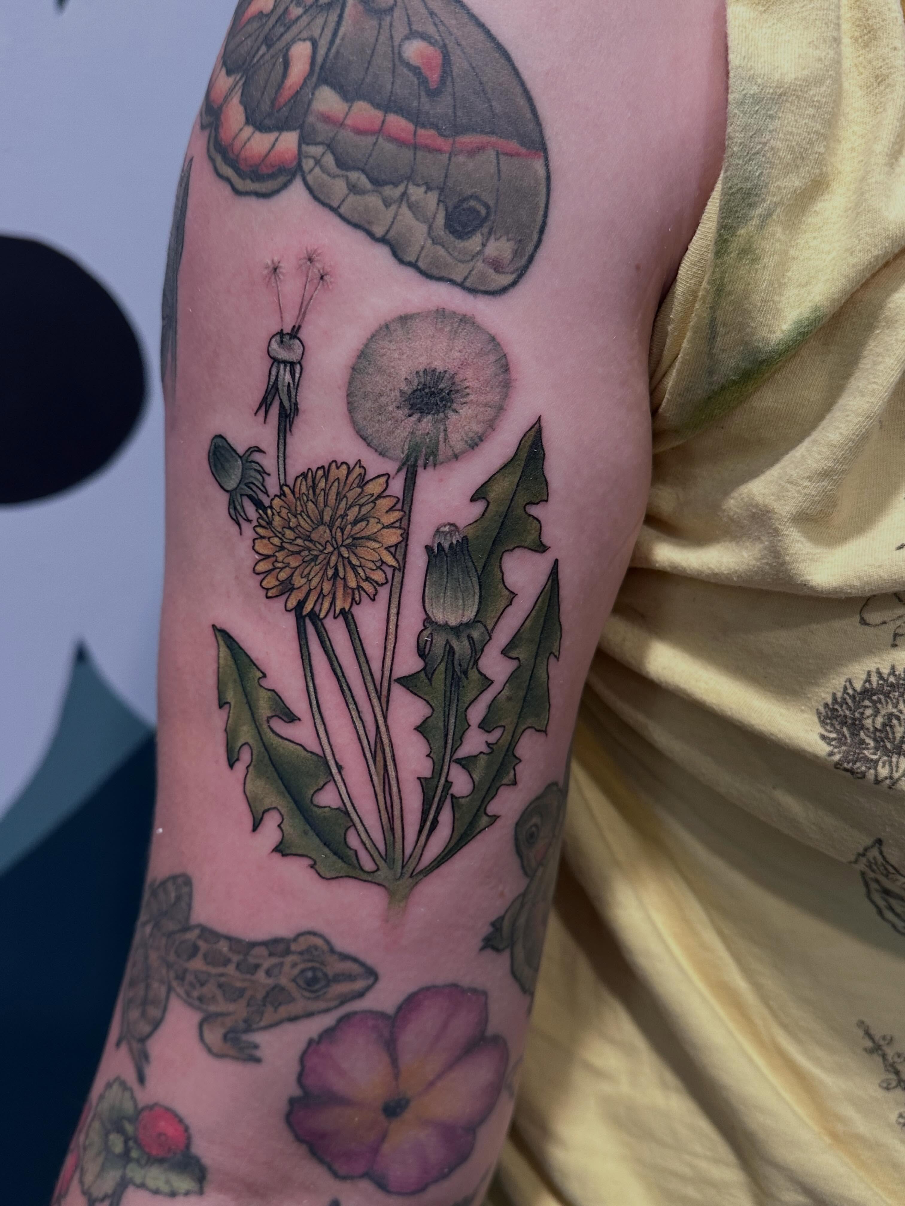 Dandelion and frog realism tattoo on the forearm by Katie Hutchins, Dayton, Ohio