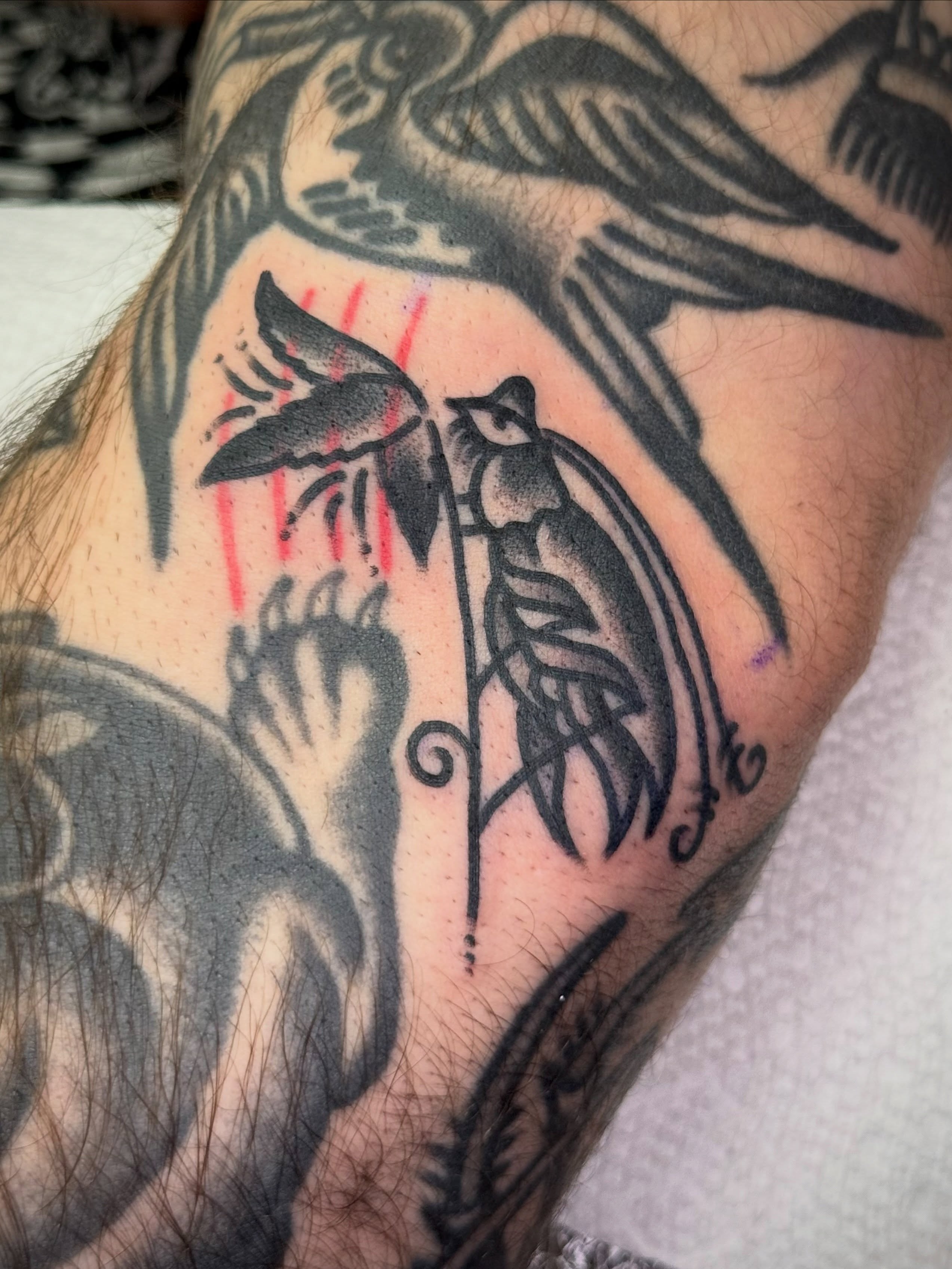 Bird and staff American traditional tattoo on the forearm by Maximilian Harrison