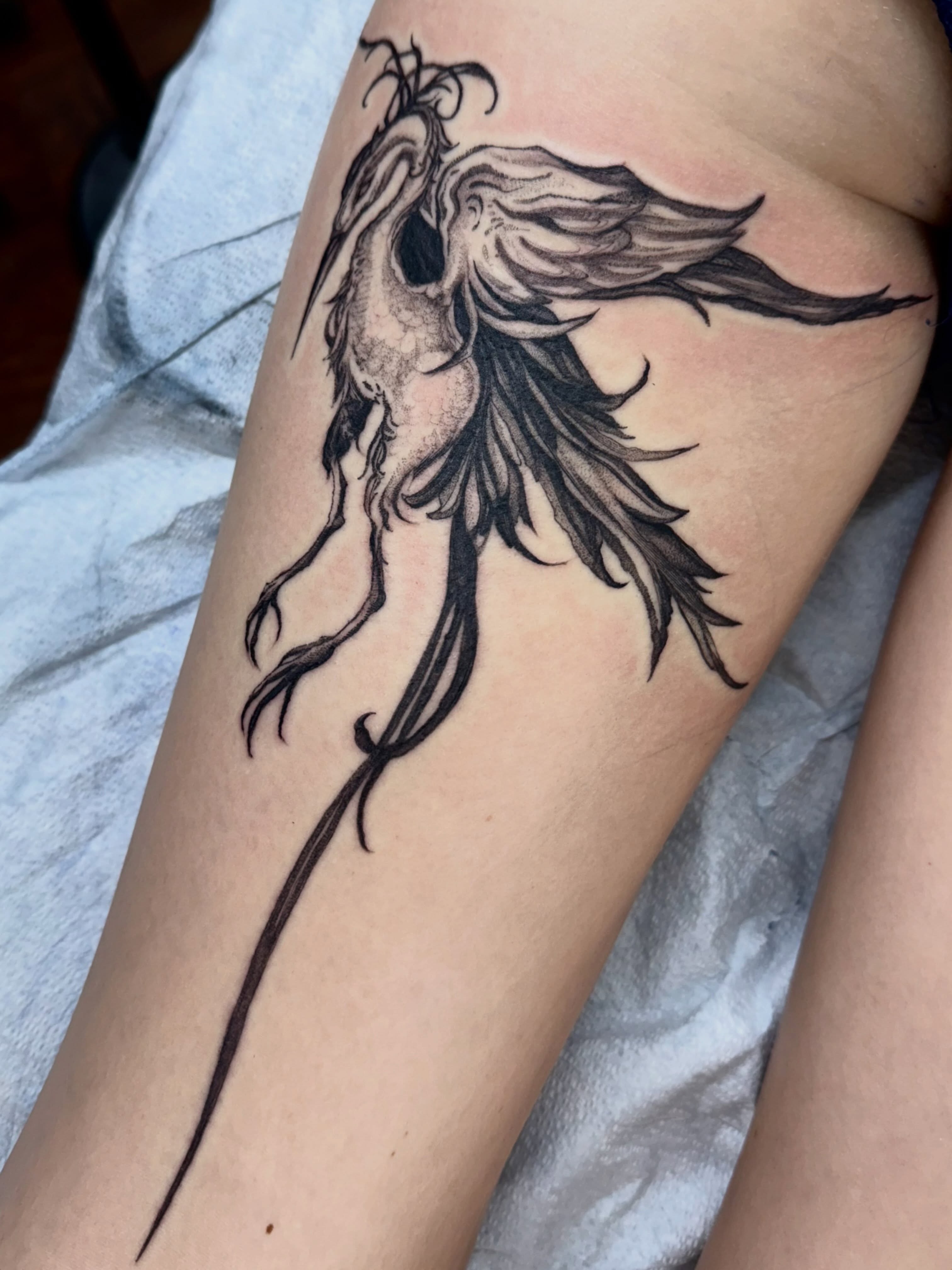 Phoenix black and grey tattoo on the thigh by Isabella π€