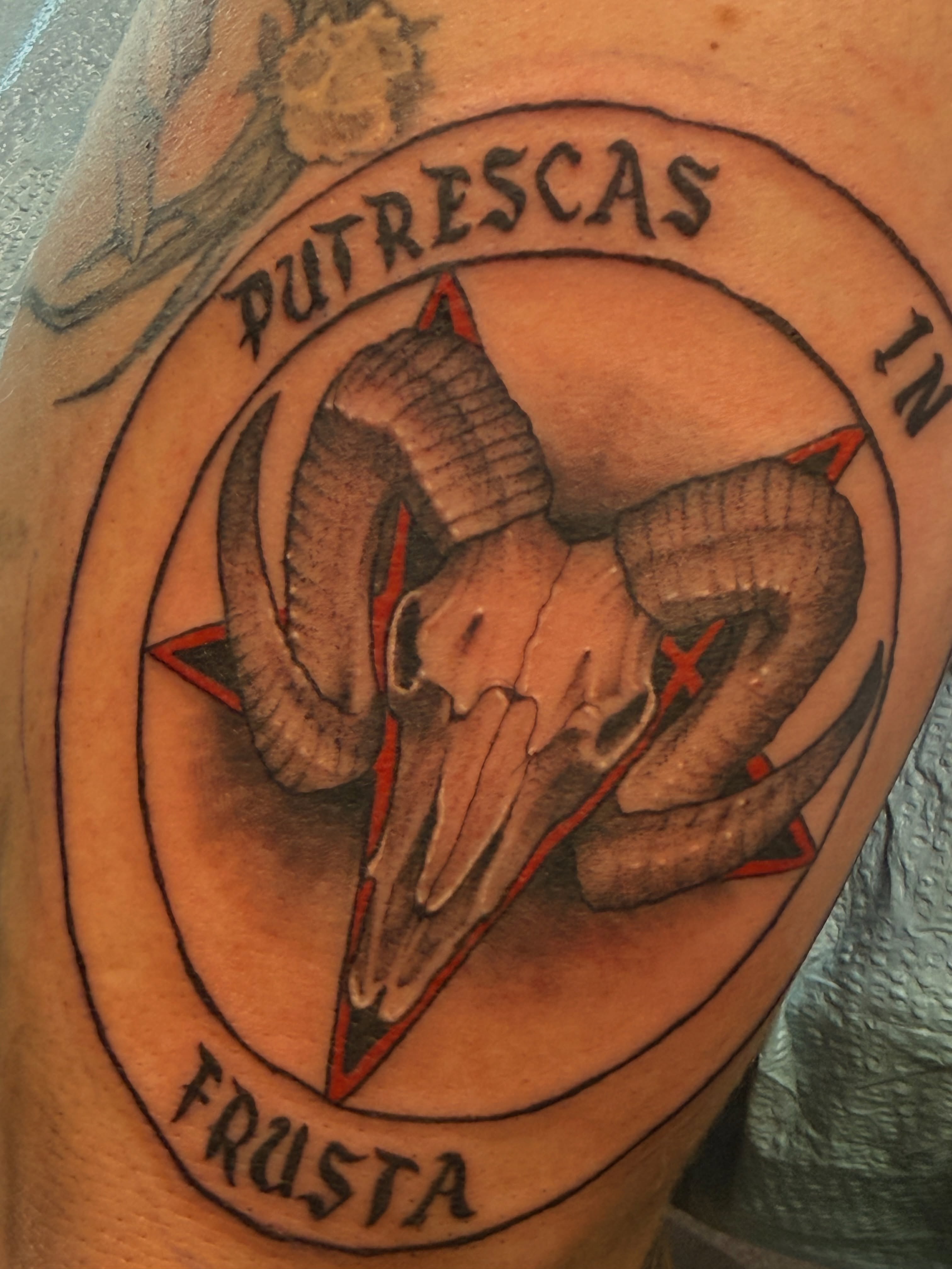 Ram skull realism tattoo on the forearm by Exploitedtattoos