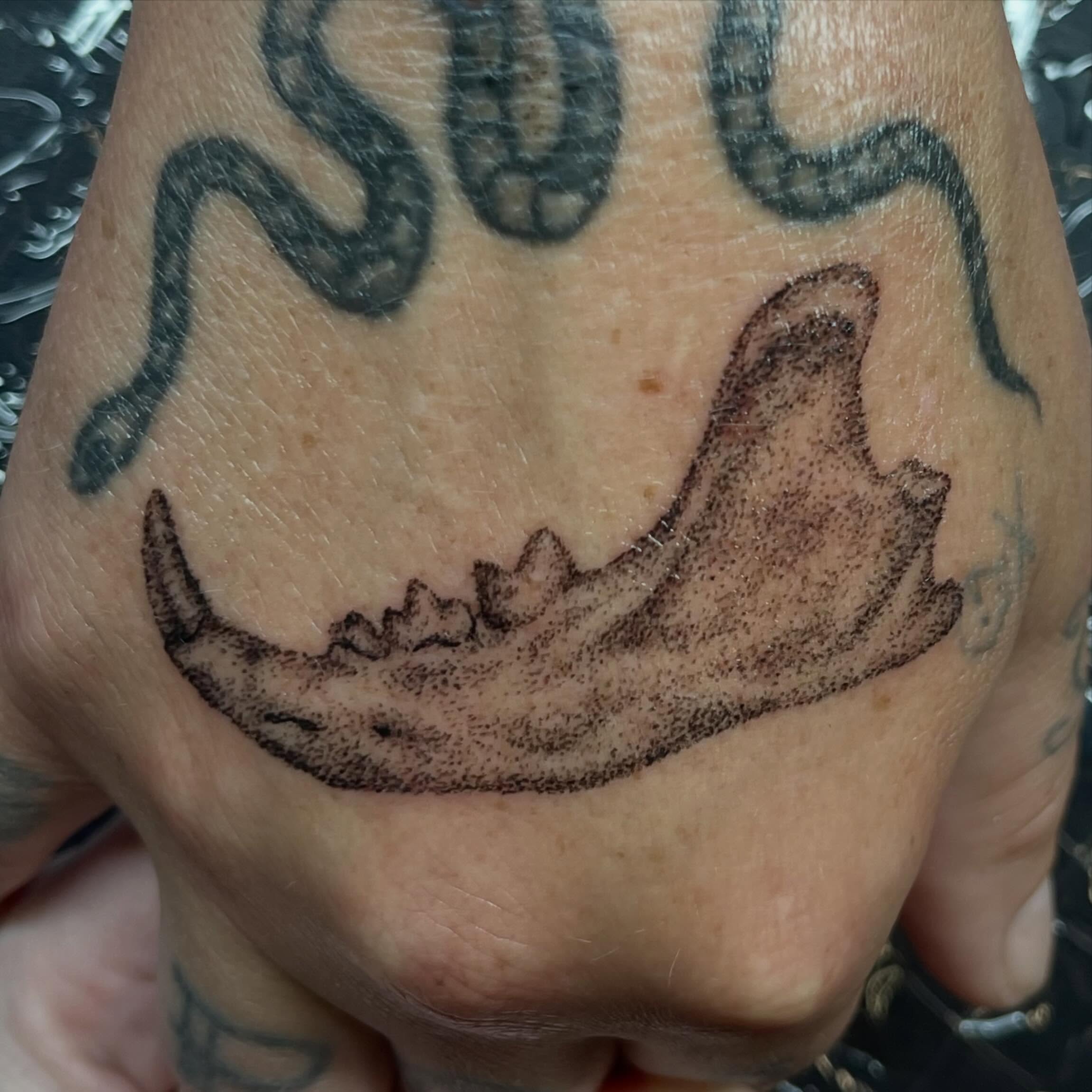 Animal jawbone dotwork tattoo on the hand by ⁎⁺˳✧༚Emma