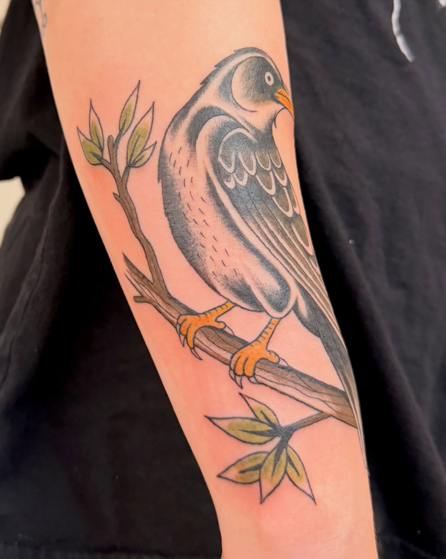 Bird American traditional tattoo on the forearm by Kate Ortiz
