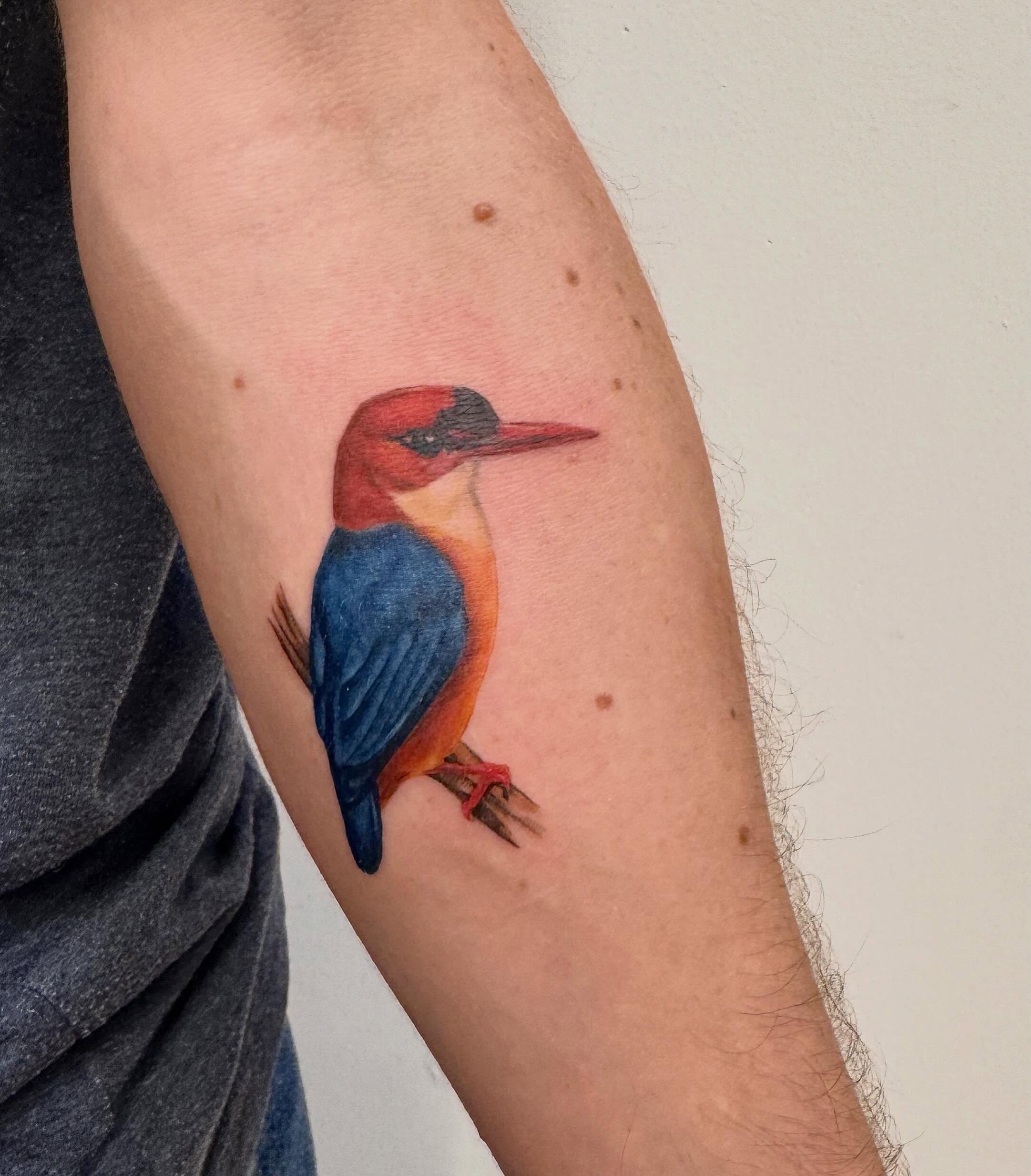 Kingfisher realism tattoo on the forearm by Enda 🧚🏻‍♀️