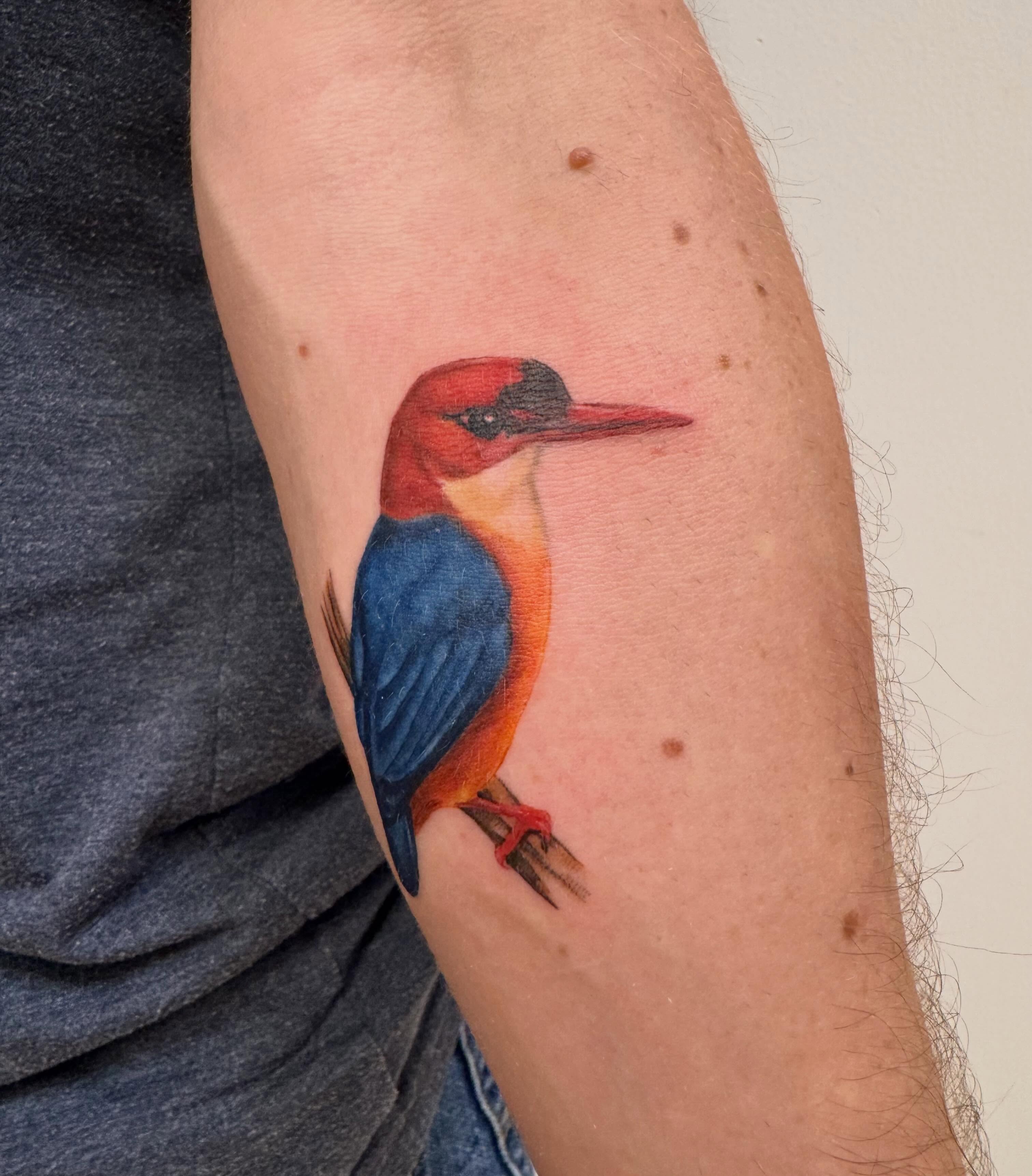 Kingfisher realism tattoo on the forearm by Enda 🧚🏻‍♀️