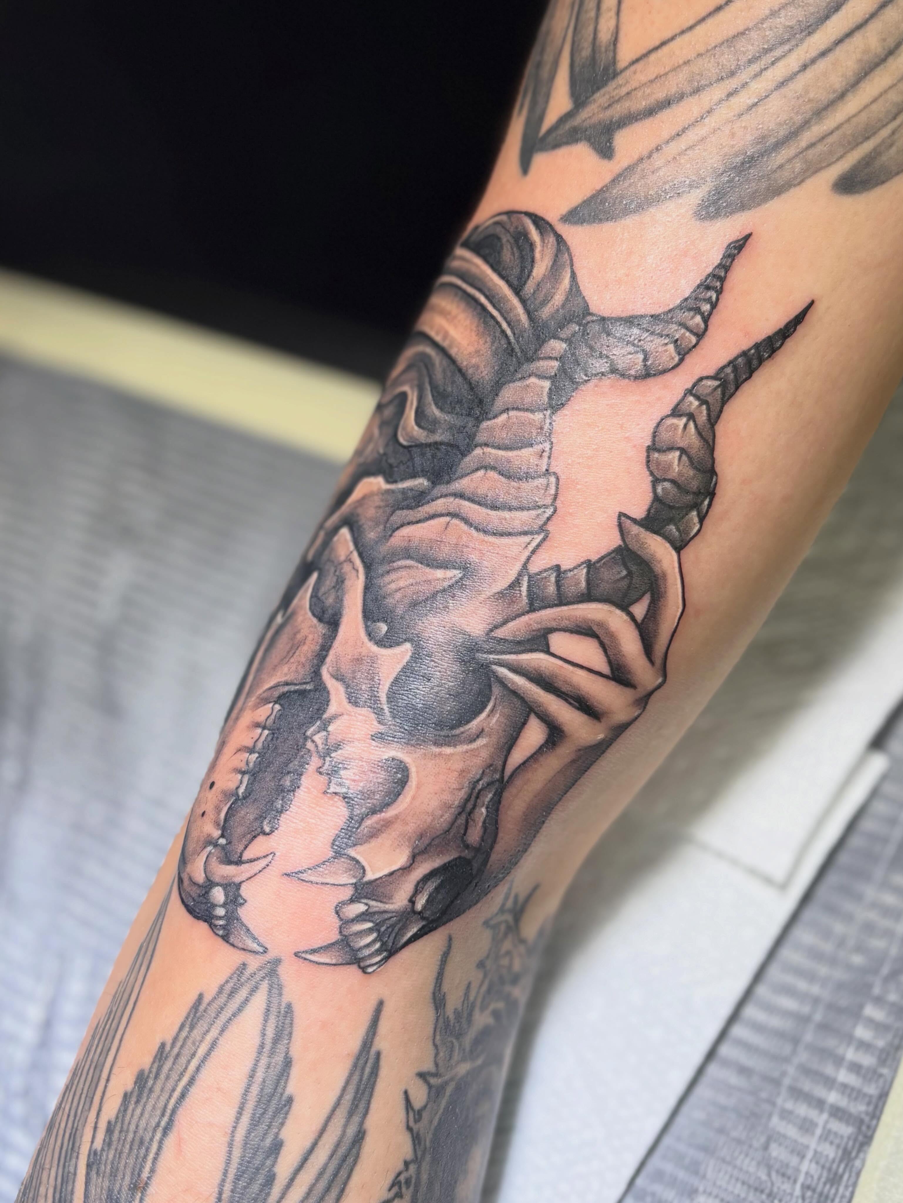 Ram skull black and grey tattoo on the forearm by Olivia Buch